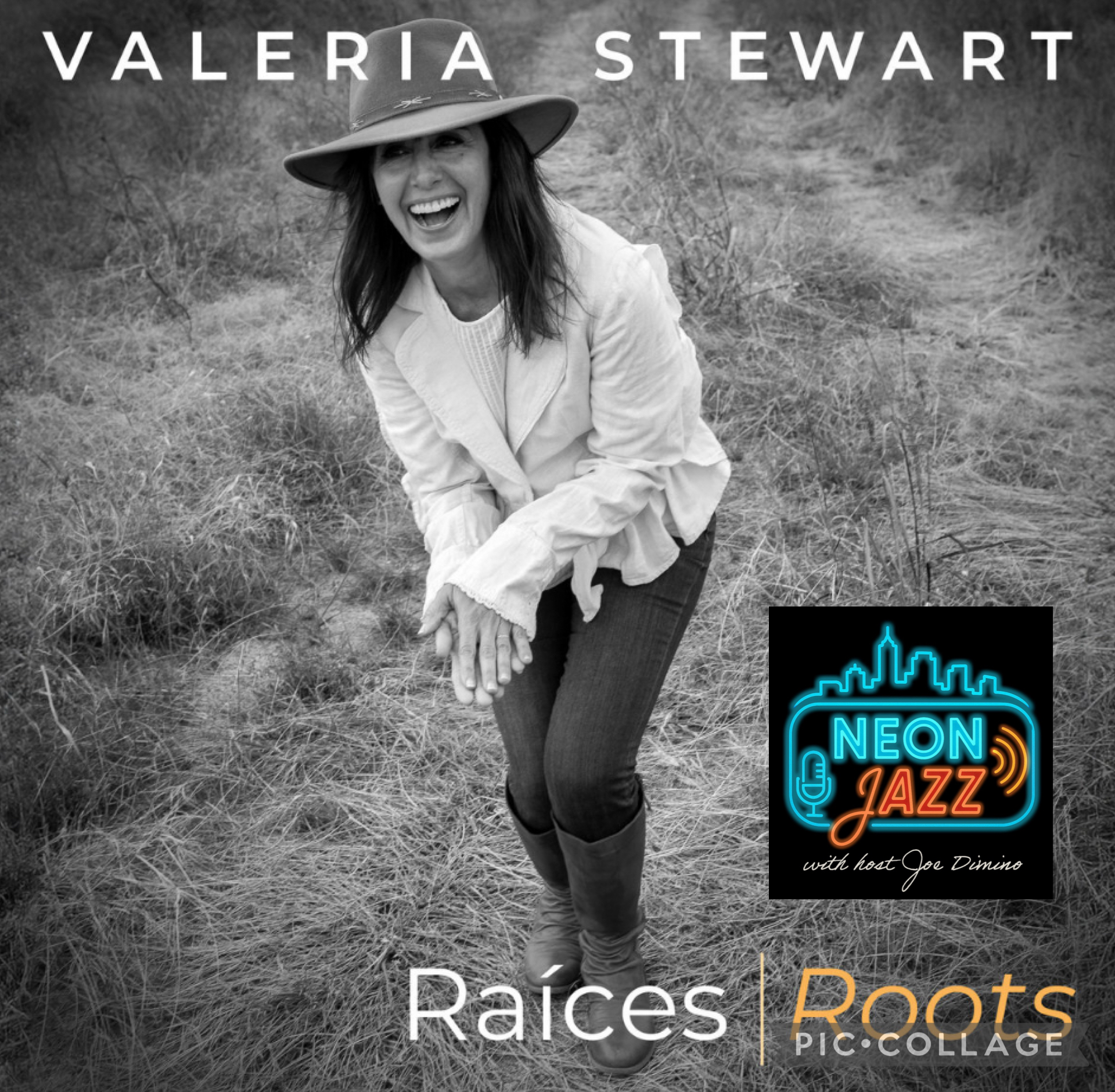 Neon Jazz Interviews