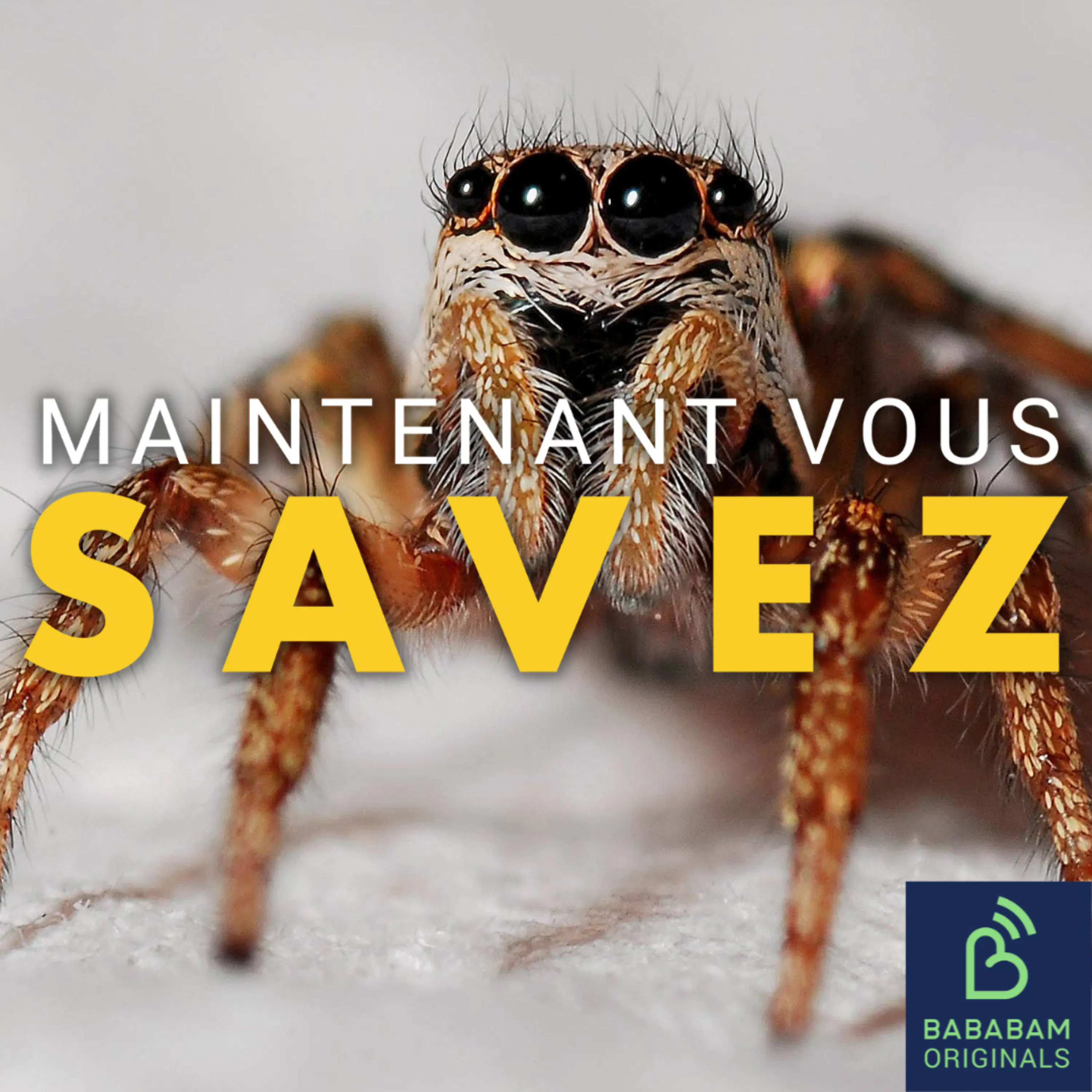 Quelles sont les phobies les plus courantes ?