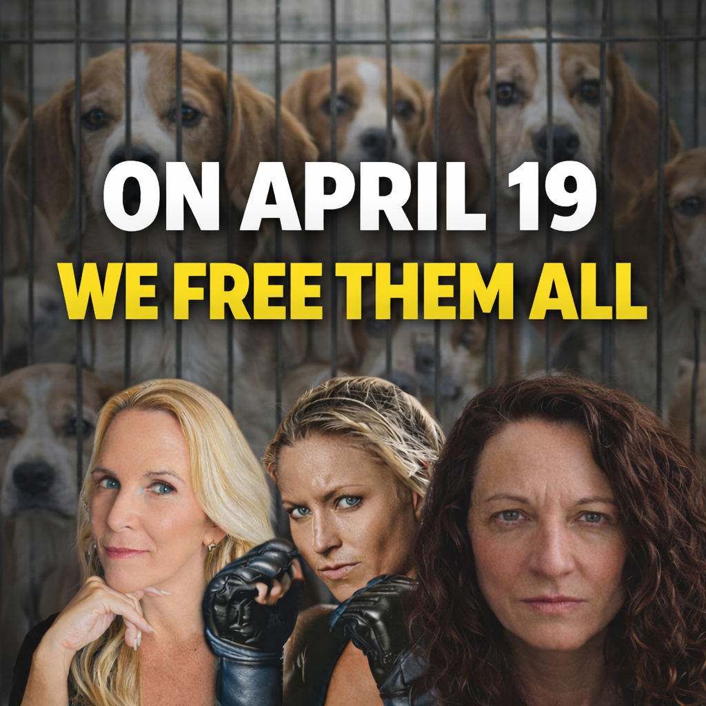 She Saved a Beagle from a Life of Abuse. Then She Was Arrested: Jennifer Tourkin and the Ridglan Farms Rescue Story episode artwork