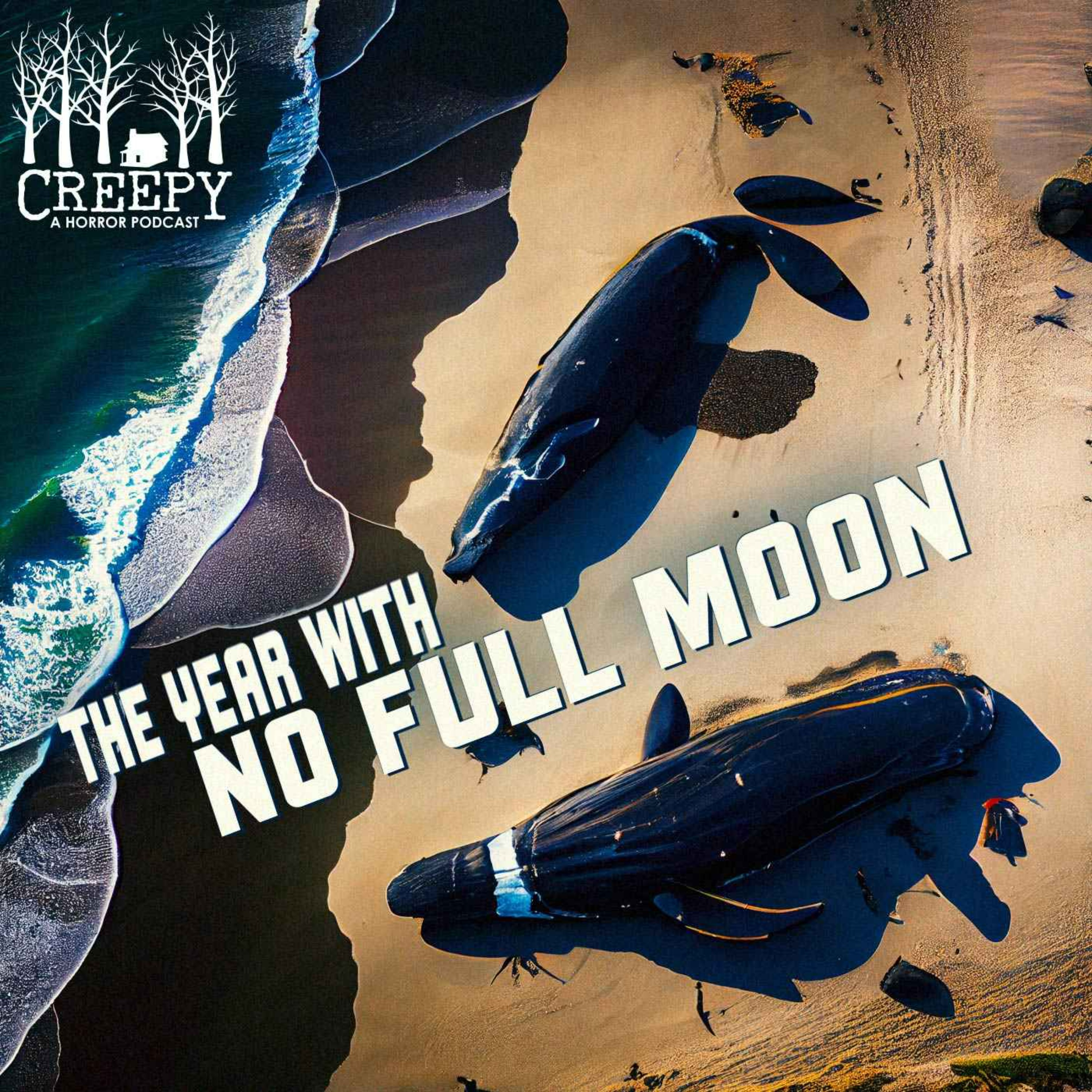 The Year With No Full Moon