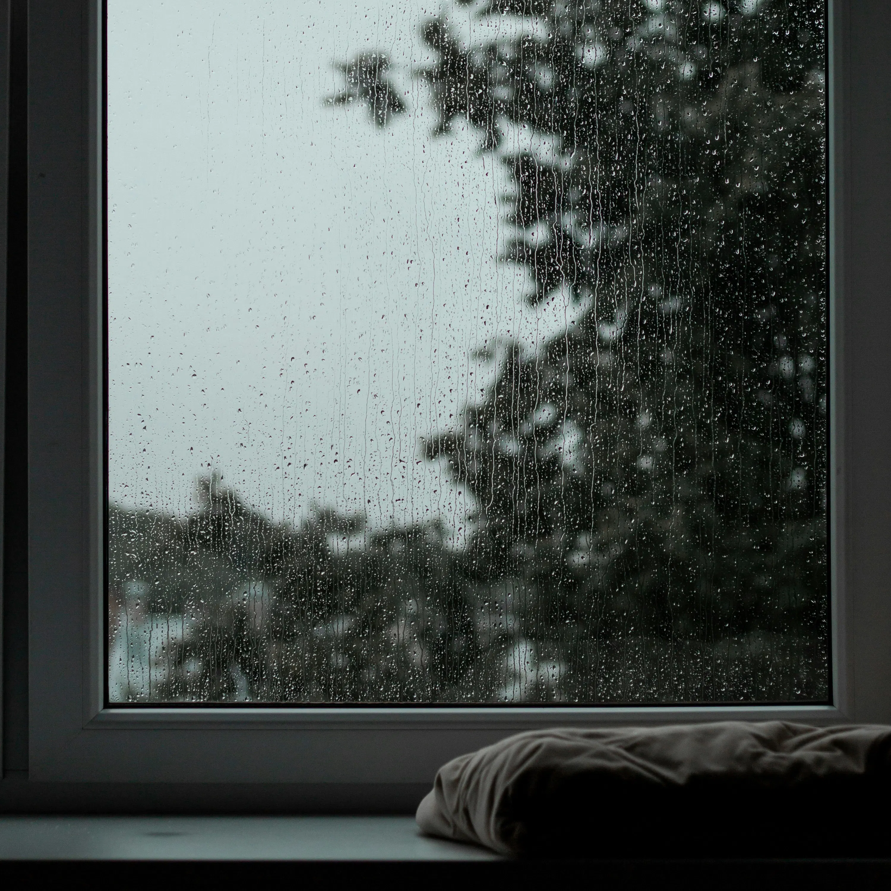 Soft Rain on Window: 8-Hour Serene Ambiance for Relaxation, Studying & Sleep episode artwork