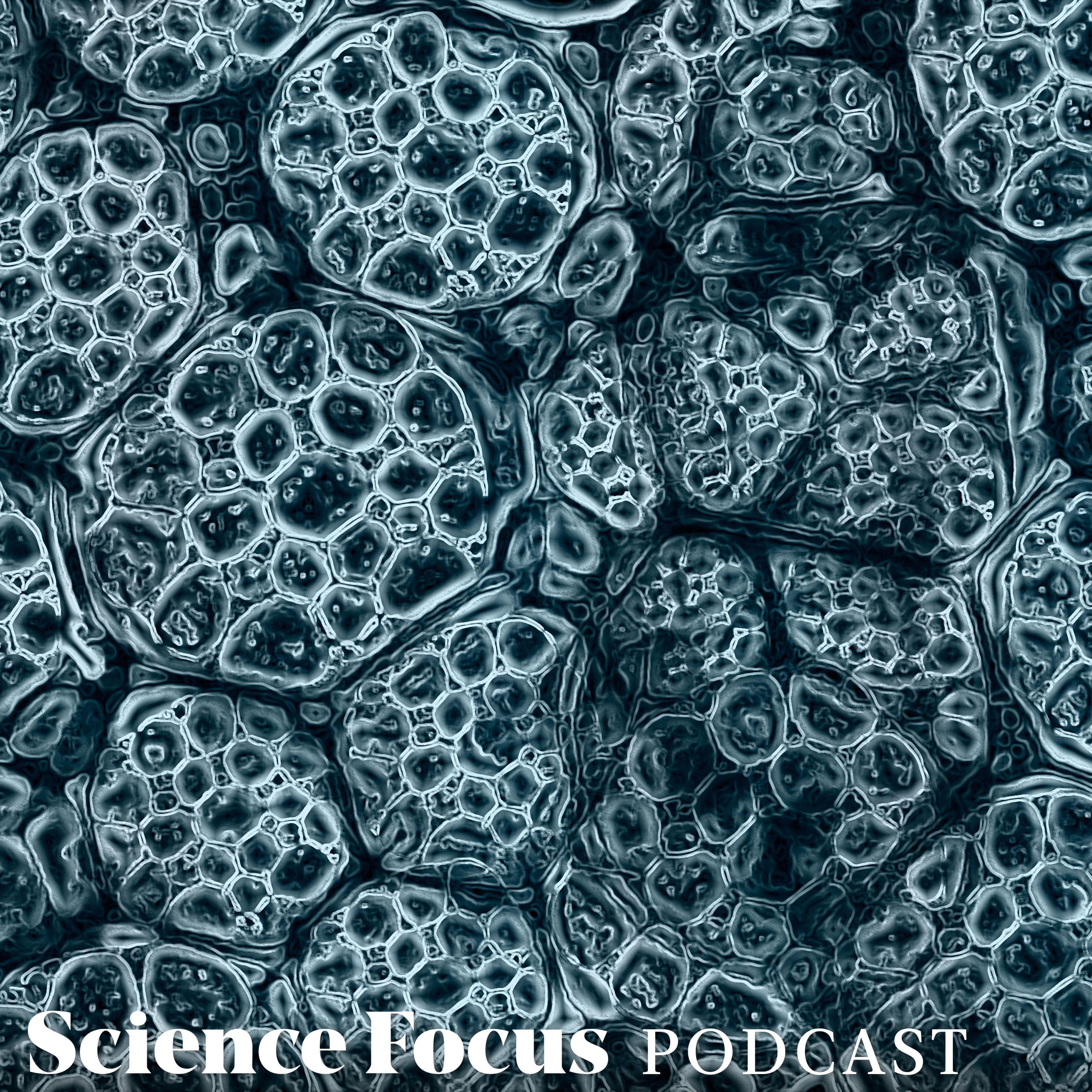 Ritu Raman: Can you build with biology?