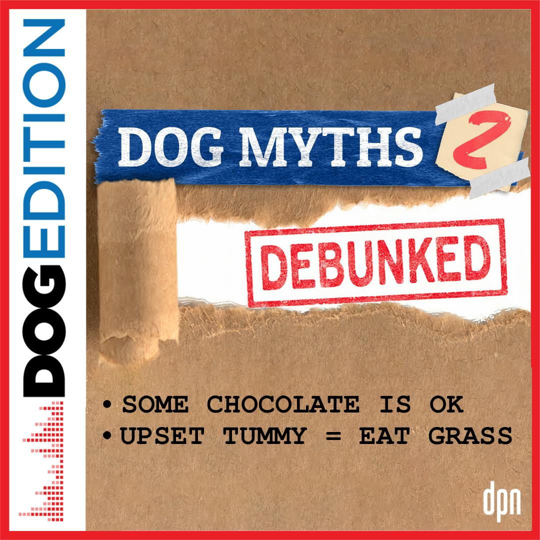 Dog Myths Debunked 2 | Dog Edition #72