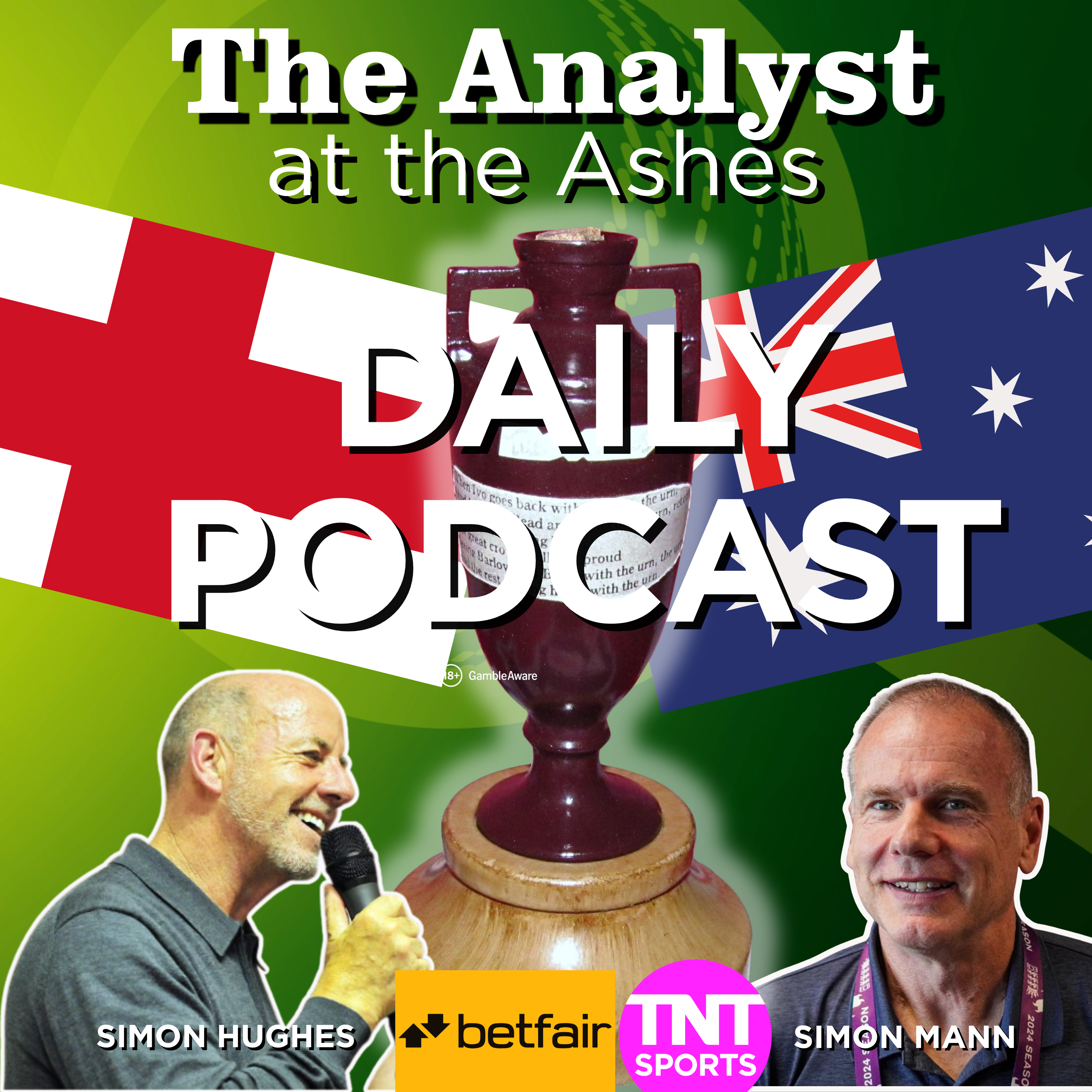 The Analyst Inside Cricket