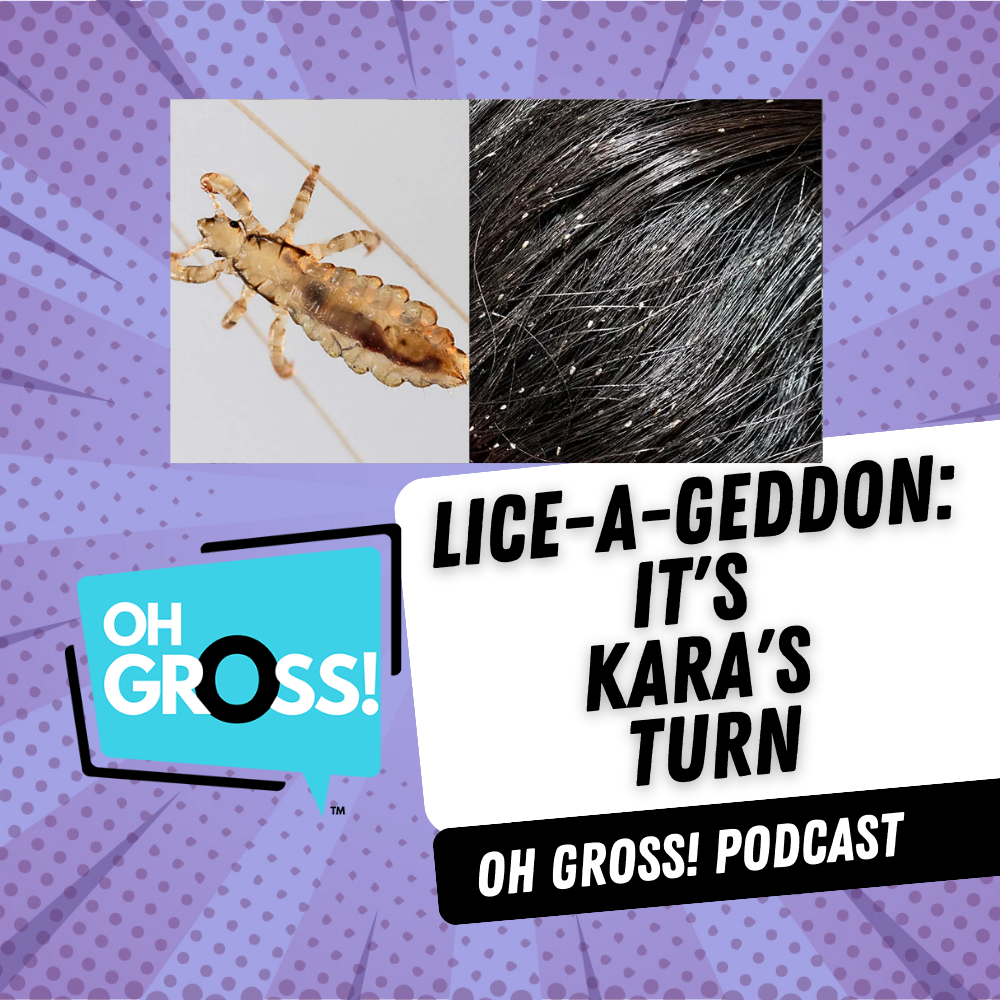 Lice-a-geddon:  It's Kara's Turn episode artwork
