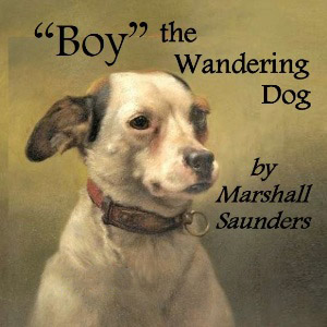 Classic Audiobook Collection