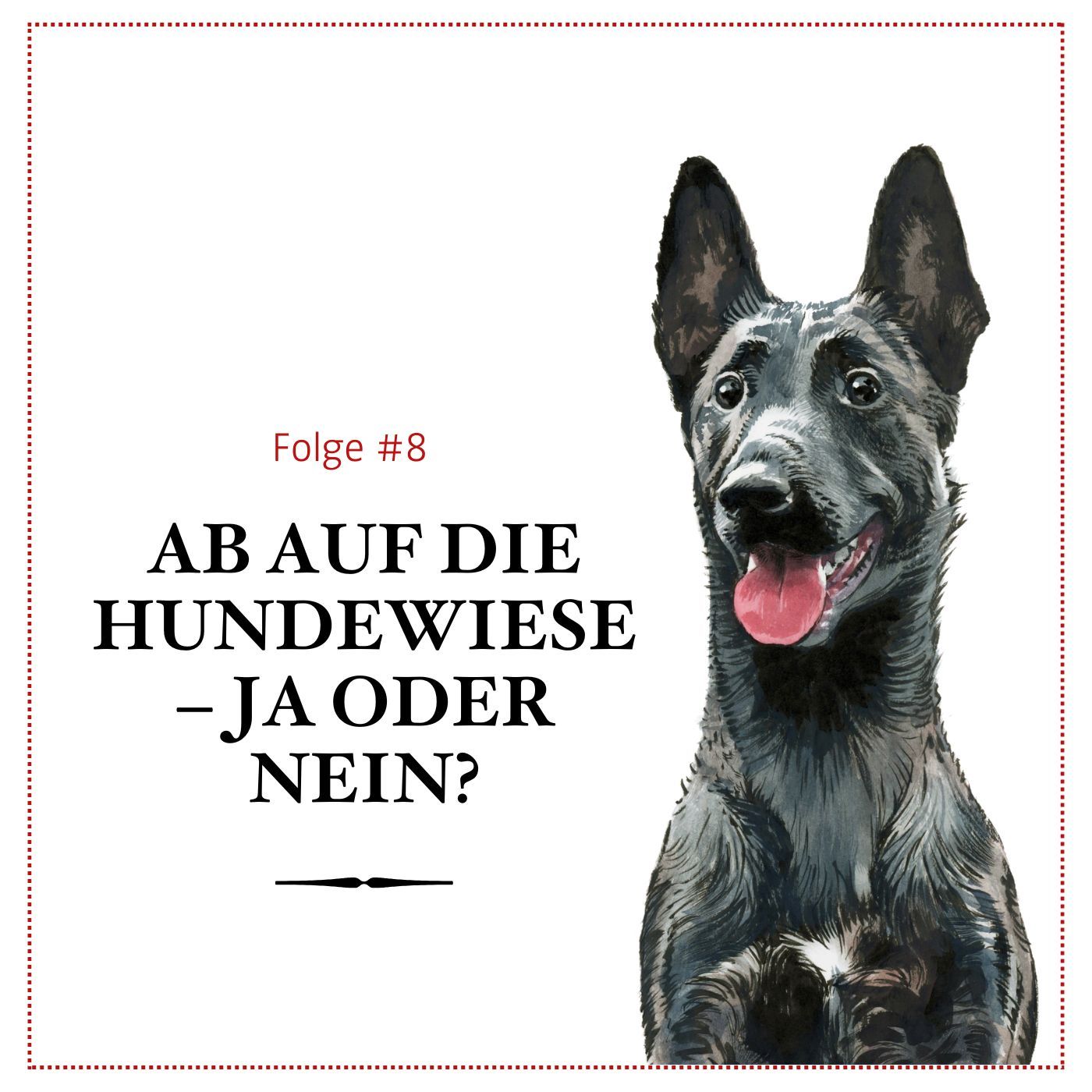 Hundezonen – Fluch oder Segen? – #08 episode artwork