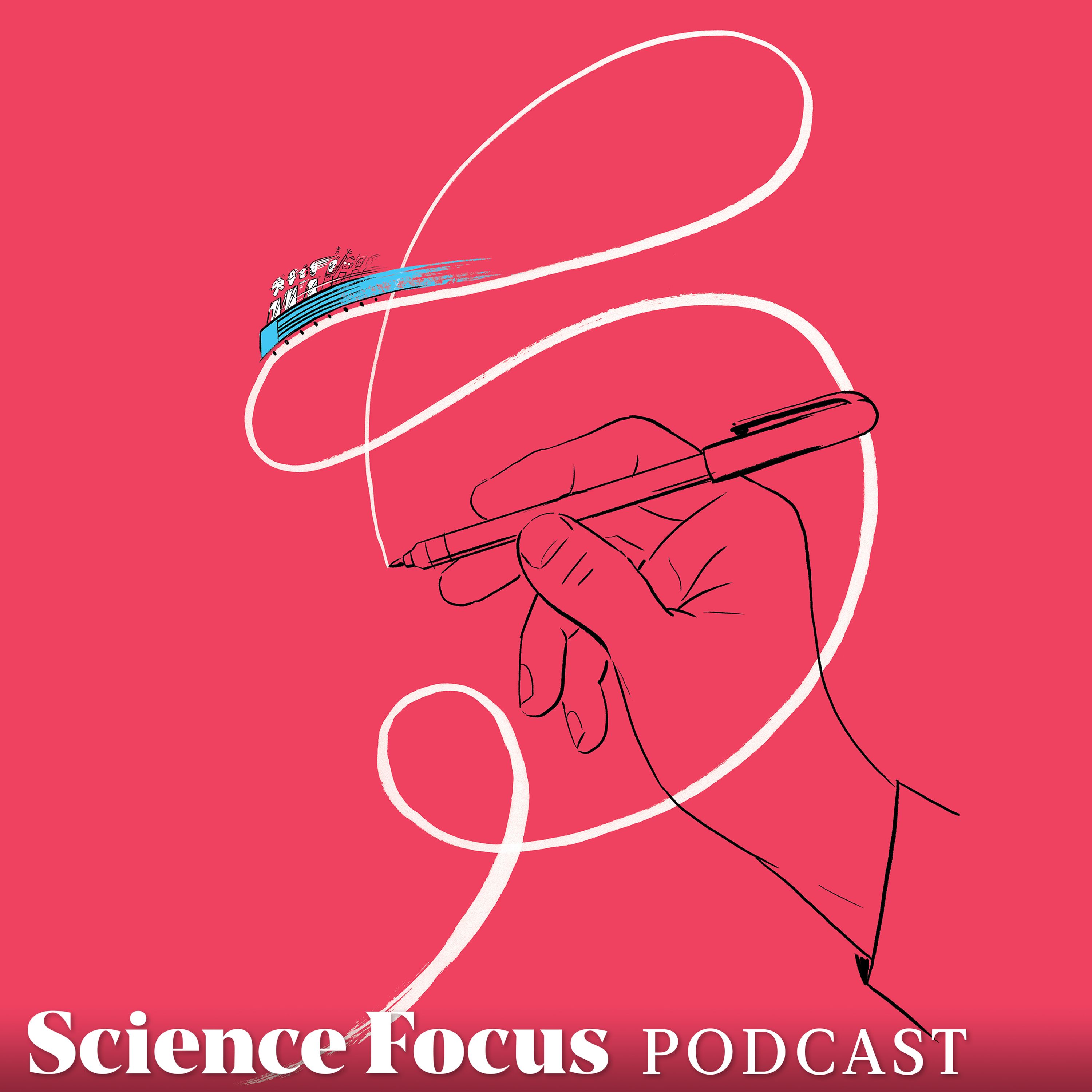 Brendan Walker: Where is the best place to sit on a rollercoaster?