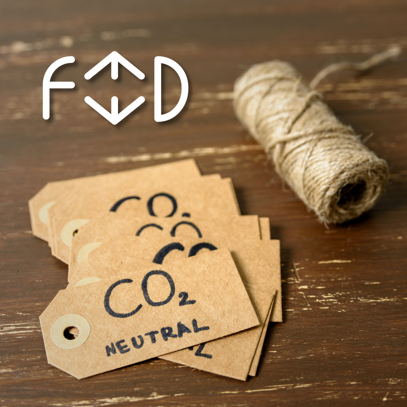 Il Riciclo dell'Anidride Carbonica: come funziona? - di Fedsanber