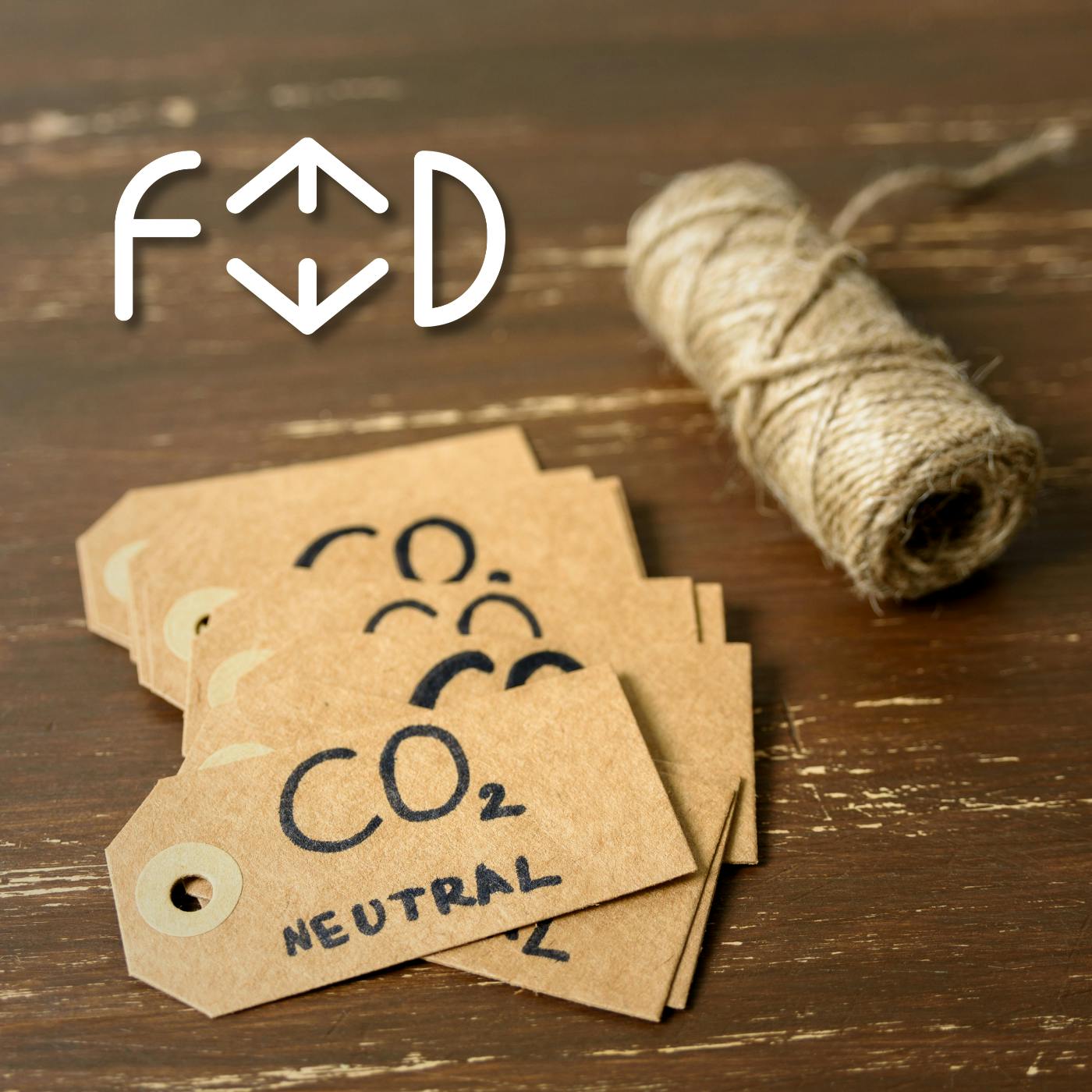 Il Riciclo dell'Anidride Carbonica: come funziona? - di Fedsanber Il Riciclo dell'Anidride Carbonica: come funziona? - di Fedsanber