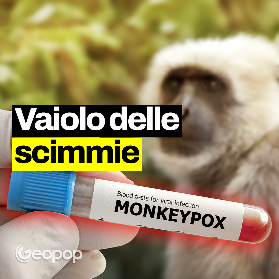 Le differenze tra vaiolo delle scimmie e Covid-19: intervista al funzionario dell’OMS