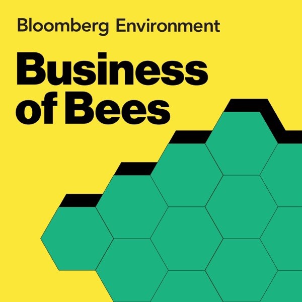 5. Invasion of the Beehive Bodysnatchers
