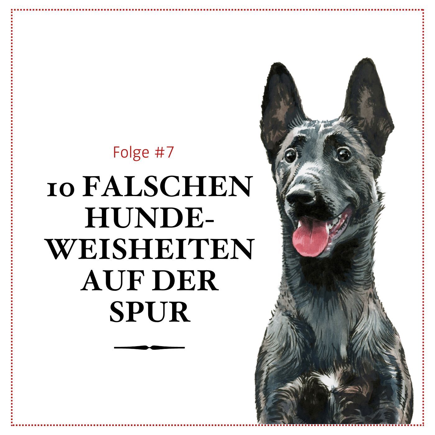 10 falschen Hundeweisheiten auf der Spur - #07 episode artwork