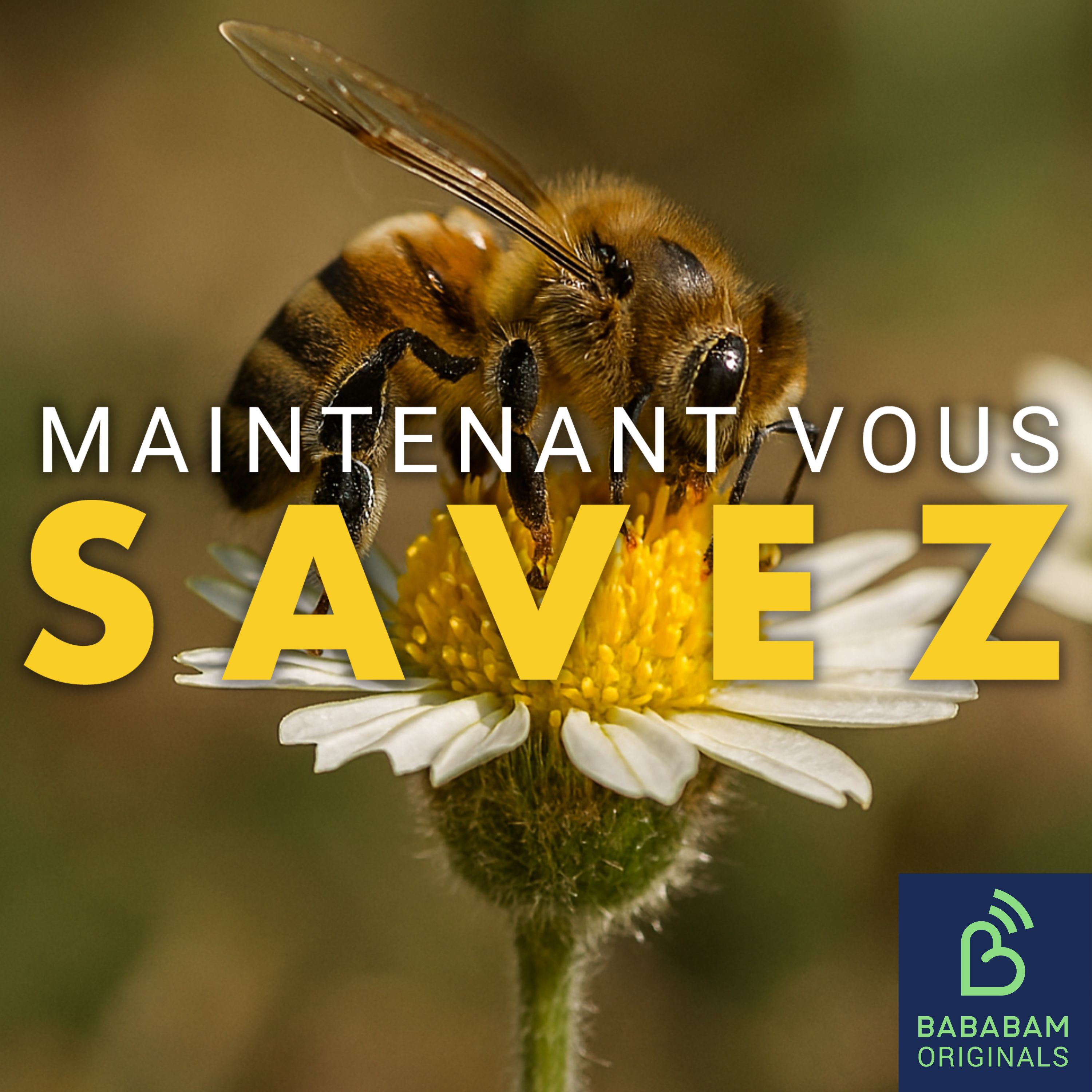 Peut-on vraiment soigner avec du venin d’abeilles ?