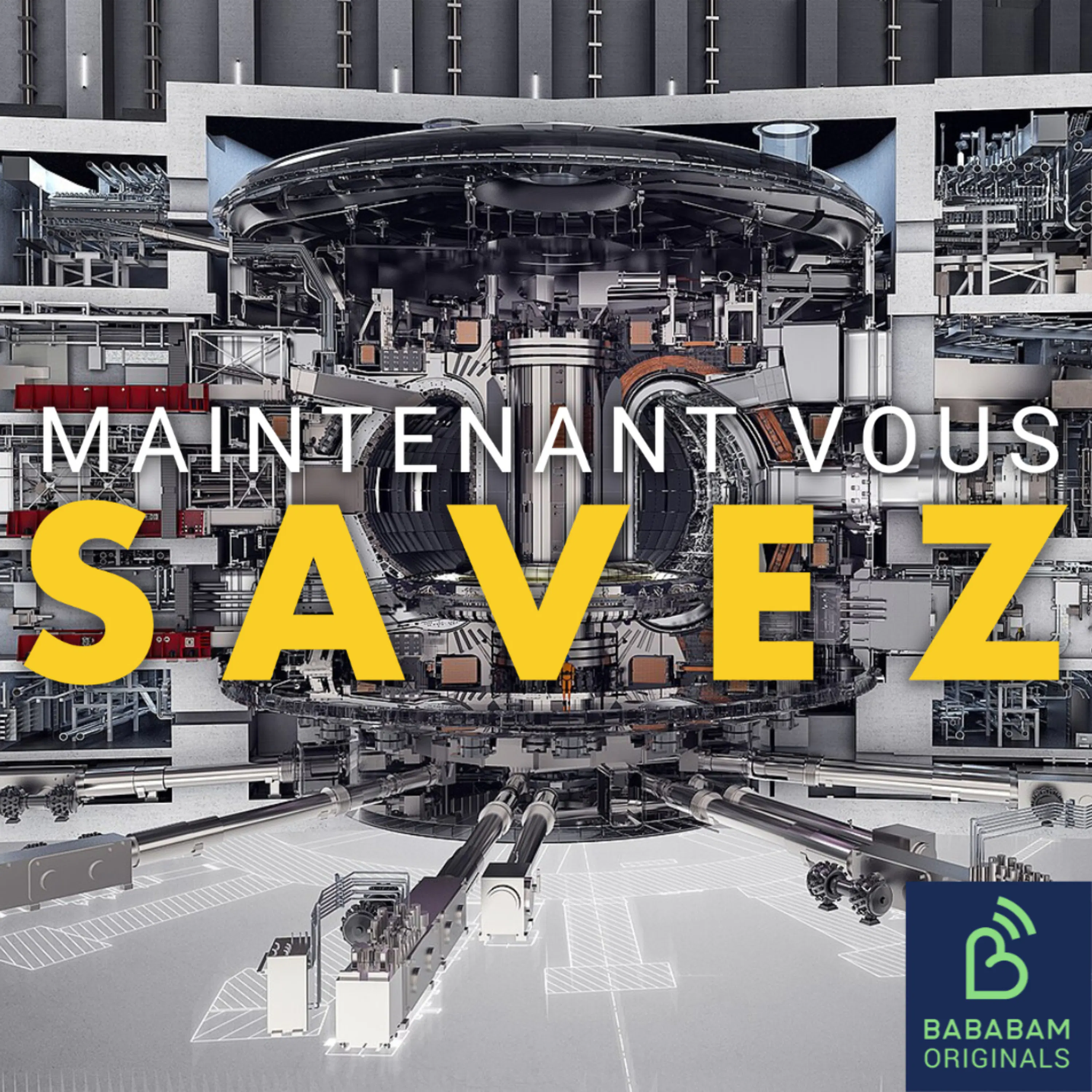 ITER : qu’est-ce que ce plus grand projet énergétique mondial ?