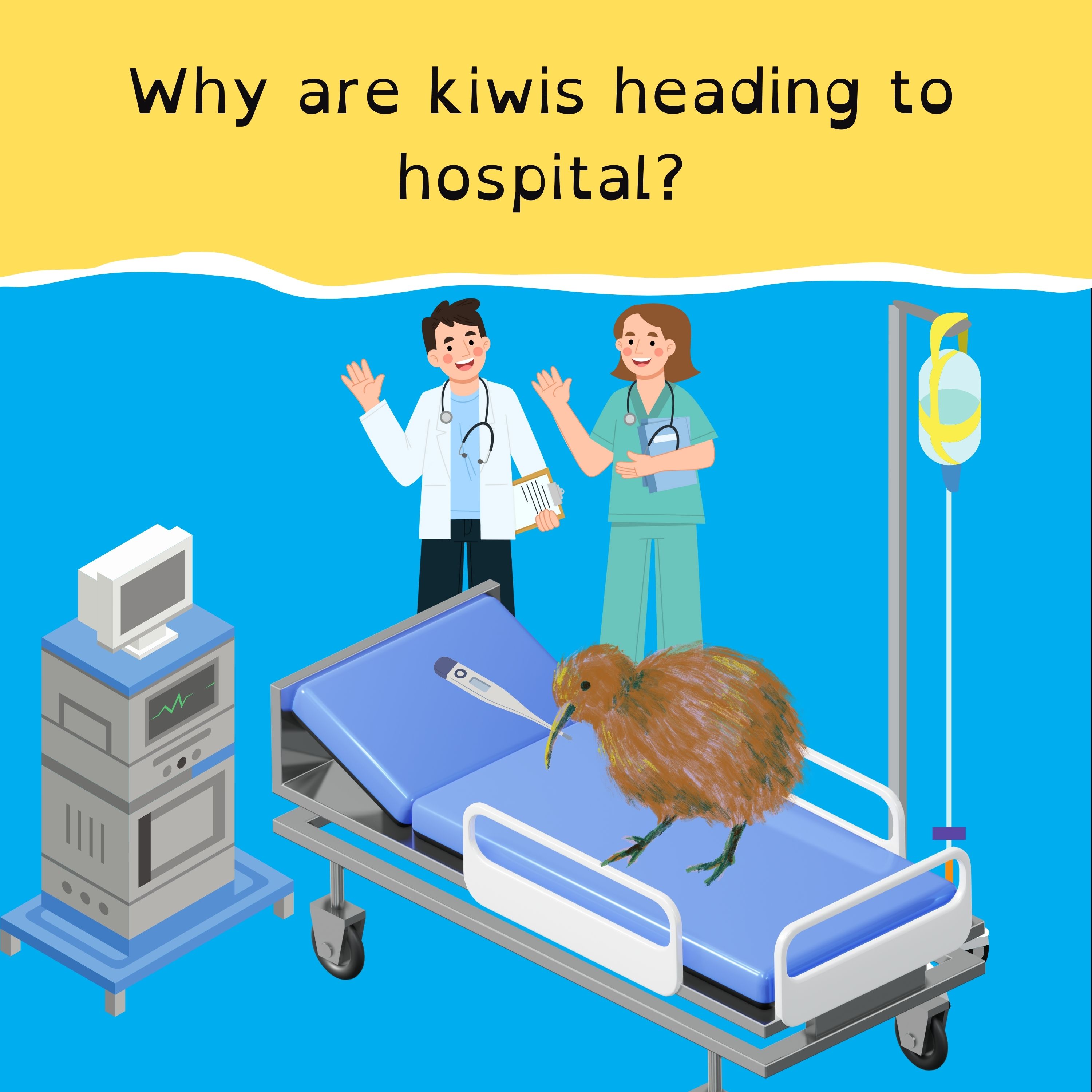 Matildas one step closer to Olympics; Moon mission accomplished; Panthers pipped at post; and a hospital for kiwis.