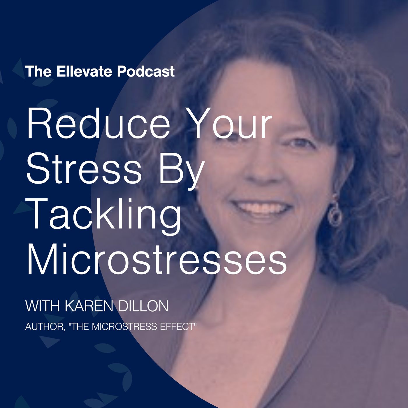 Episode 357: Reduce Your Stress By Tackling Microstresses, with Karen Dillon episode artwork