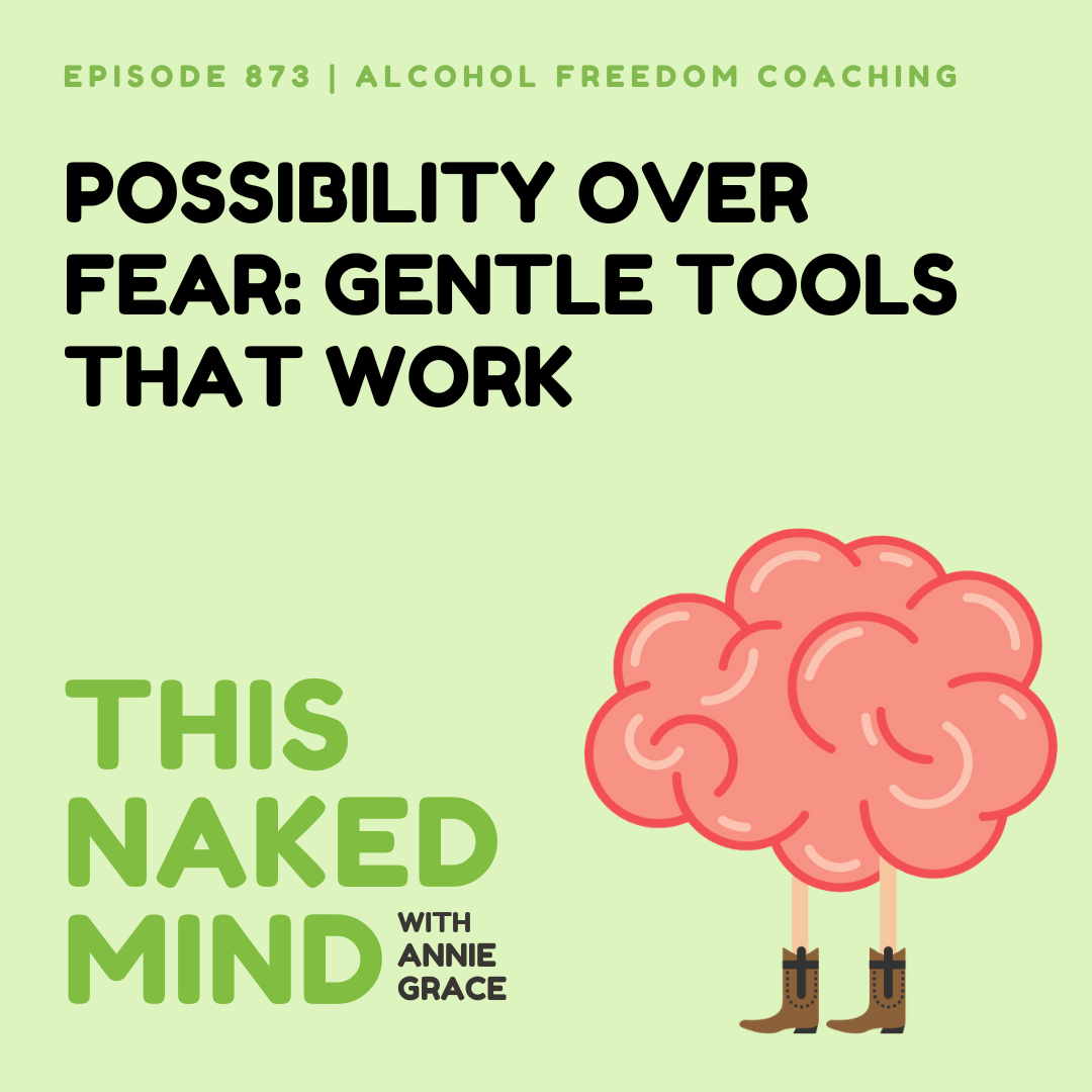 Possibility Over Fear: Gentle Tools That Work | Alcohol Freedom Coaching | E873
