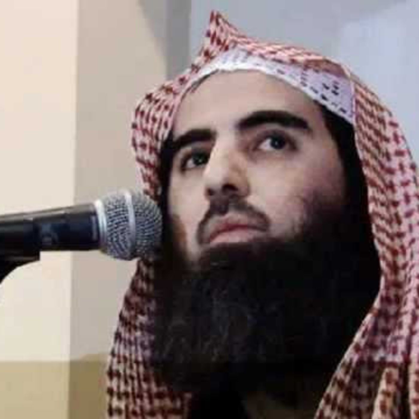 Surah Al Mulk - Muhammad Al Luhaidan episode artwork