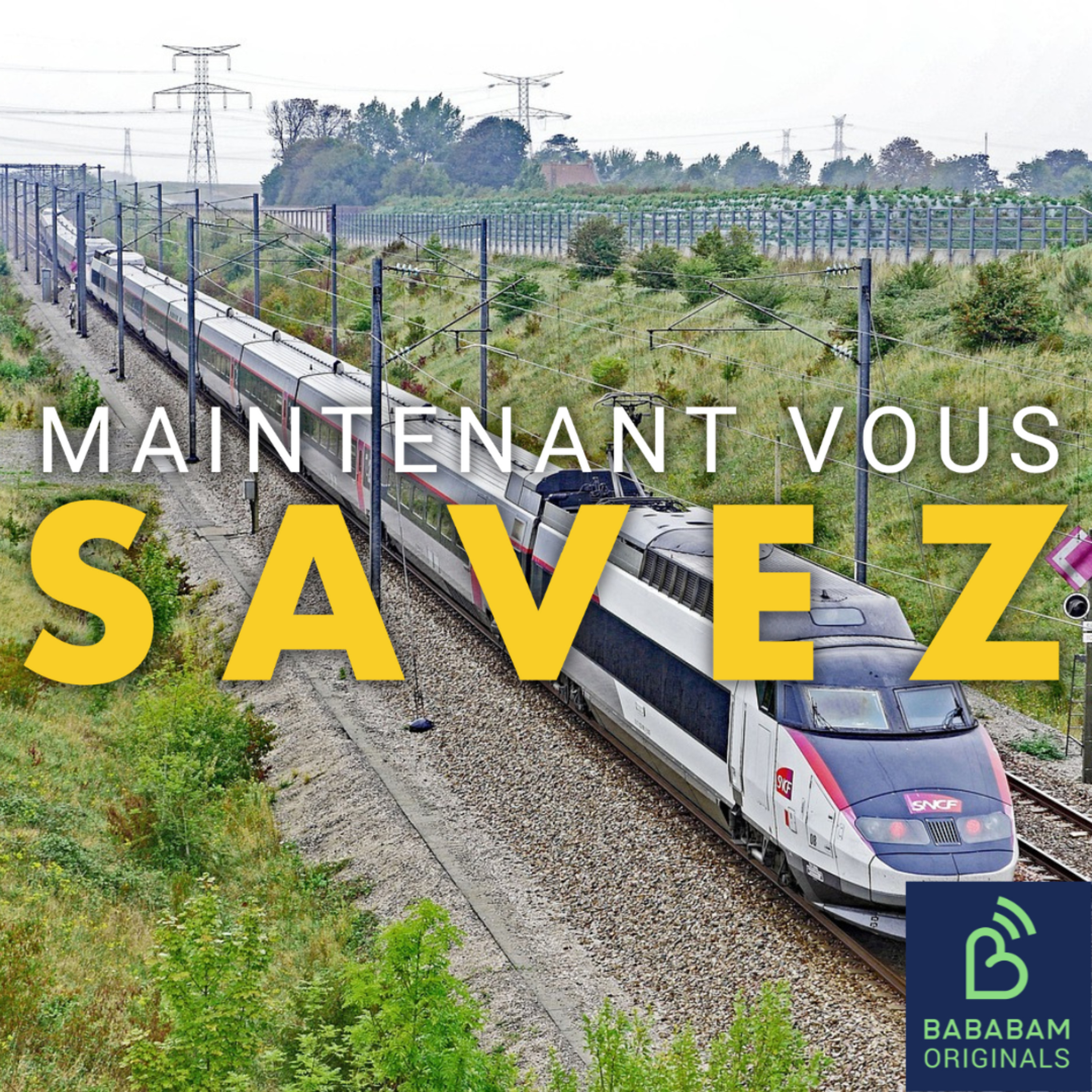 Le Pass Rail pour voyager en illimité est-il vraiment une bonne affaire ?