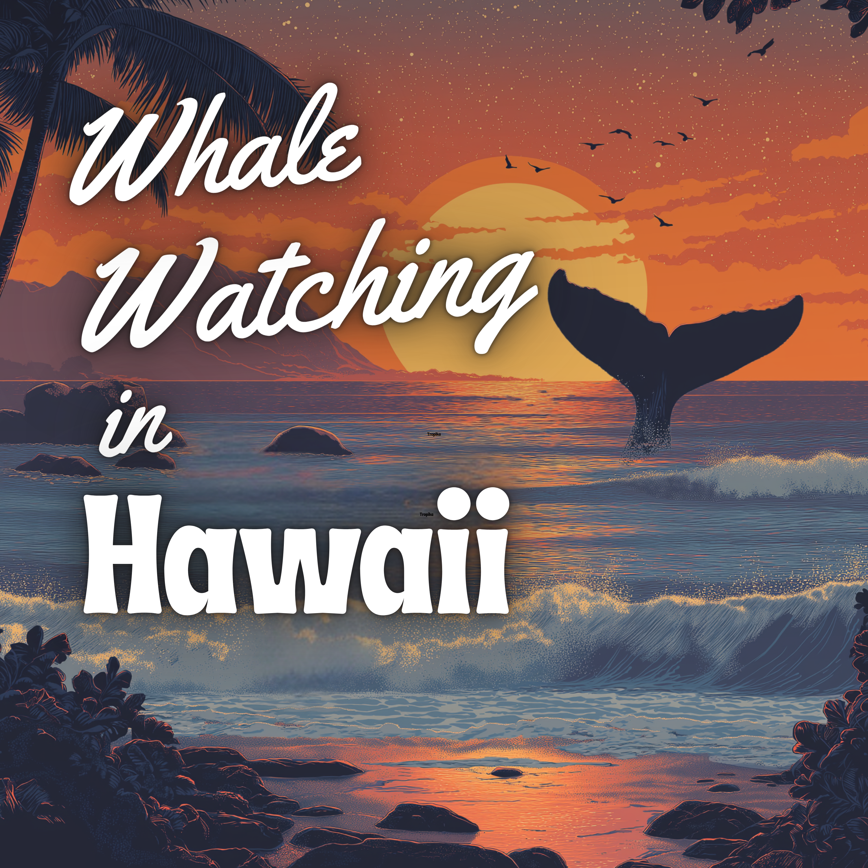 Whale Watching in Hawaii