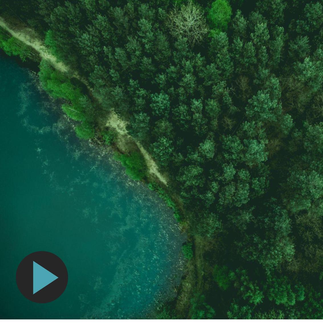 Data Scientist Hannah Ritchie – How to Solve Climate Change in 50 Questions and Answers