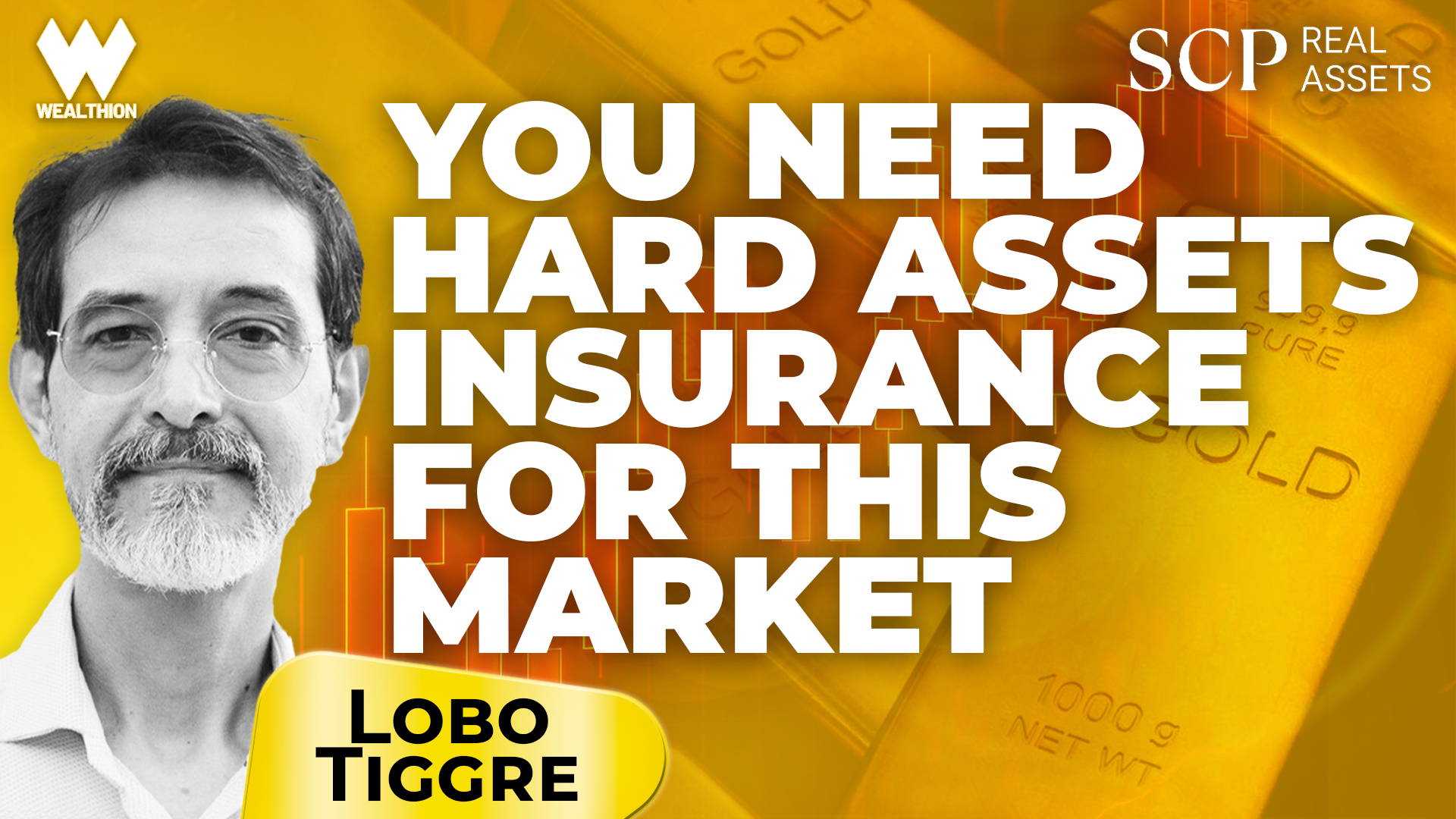 Hard Assets Are Your Insurance Now | Lobo Tiggre on Today’s AI Mania, Credit Cracks & Gold