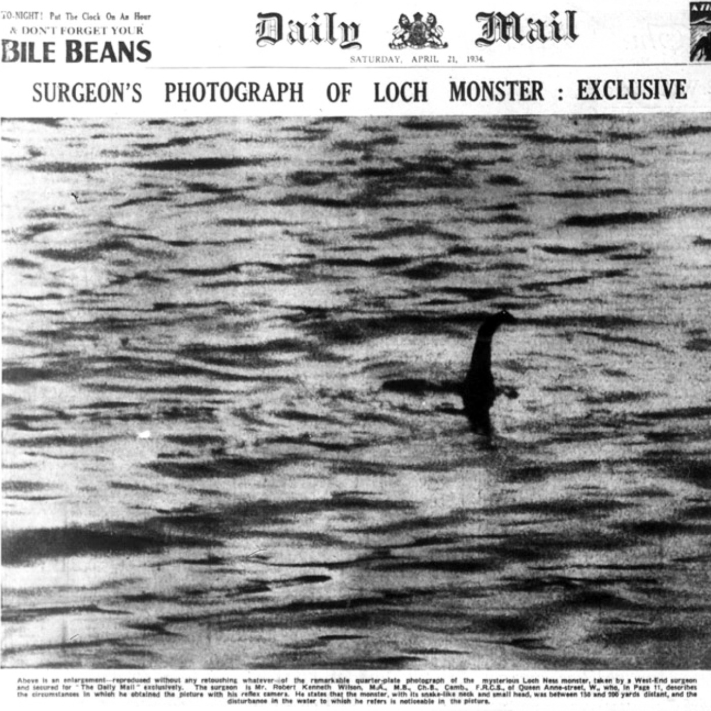 Not The Loch Ness Monster