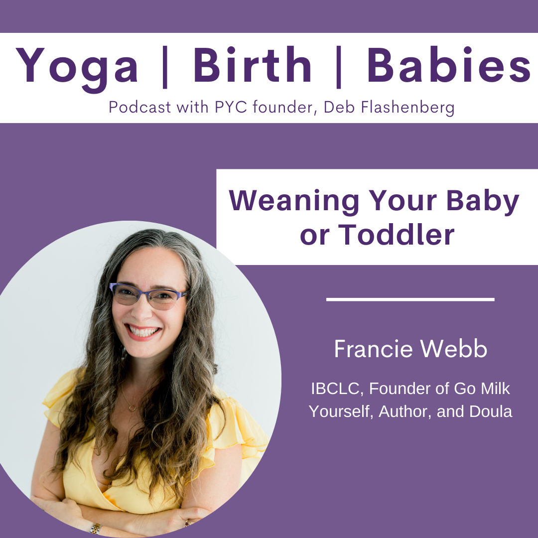 Weaning Your Baby or Toddler with Francie Webb