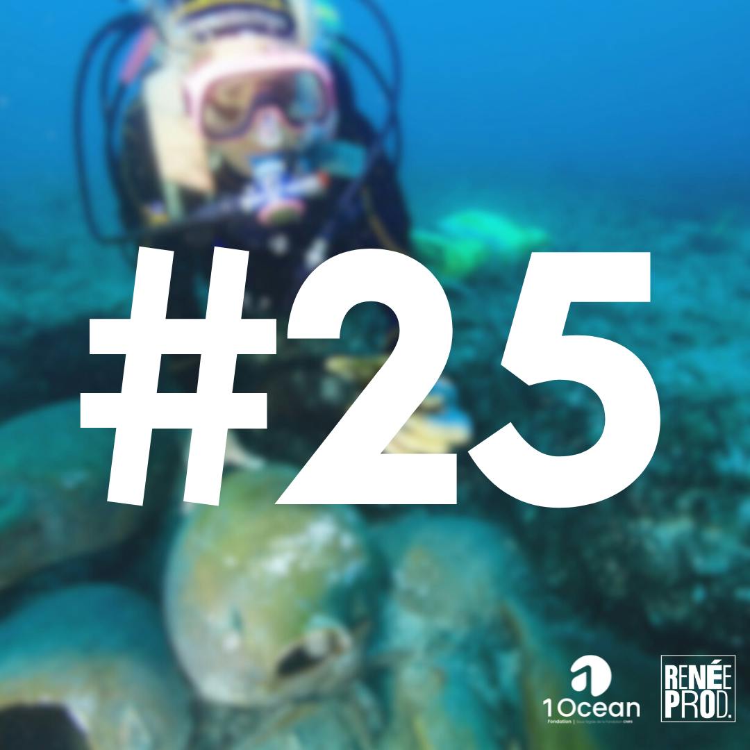 Plongeon dans une épave Plongeon dans une épave