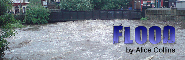 Flood