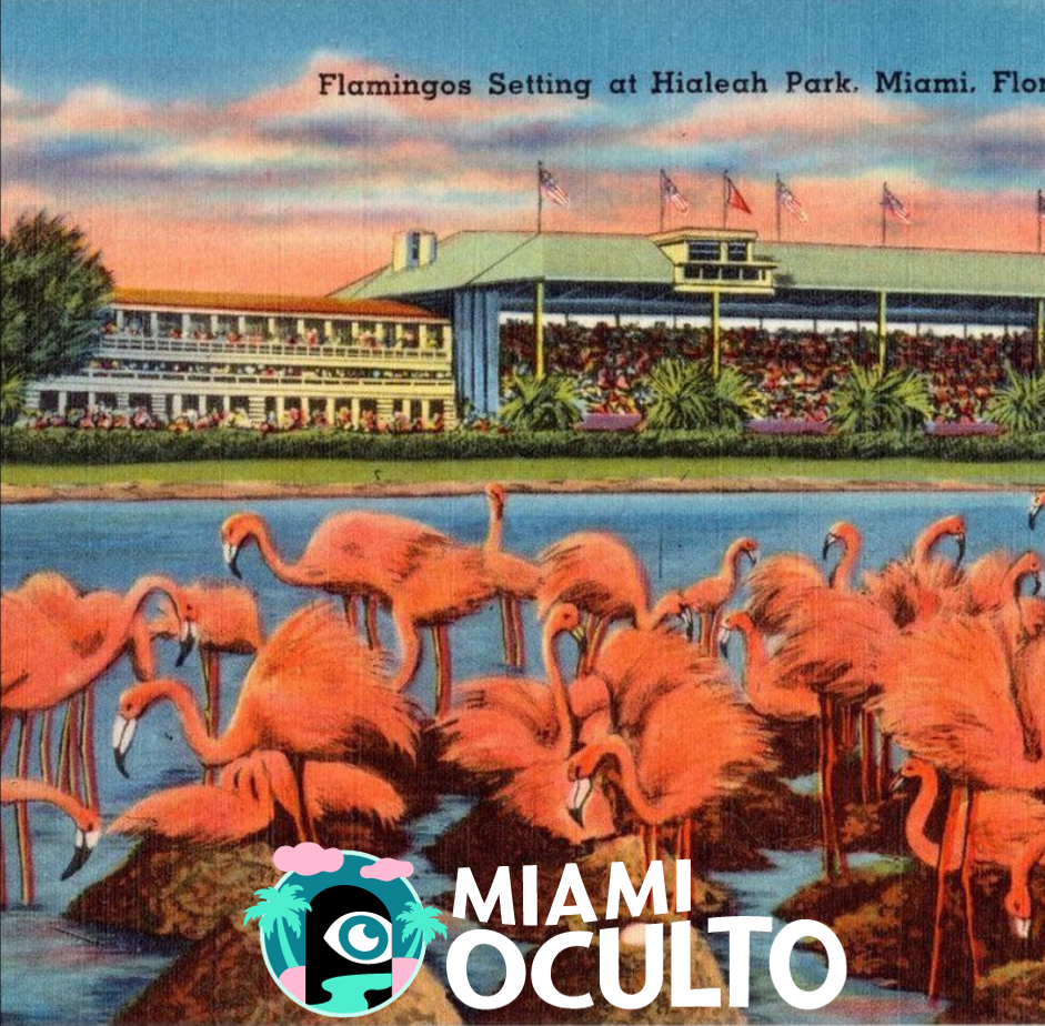 La historia detrás de Hialeah