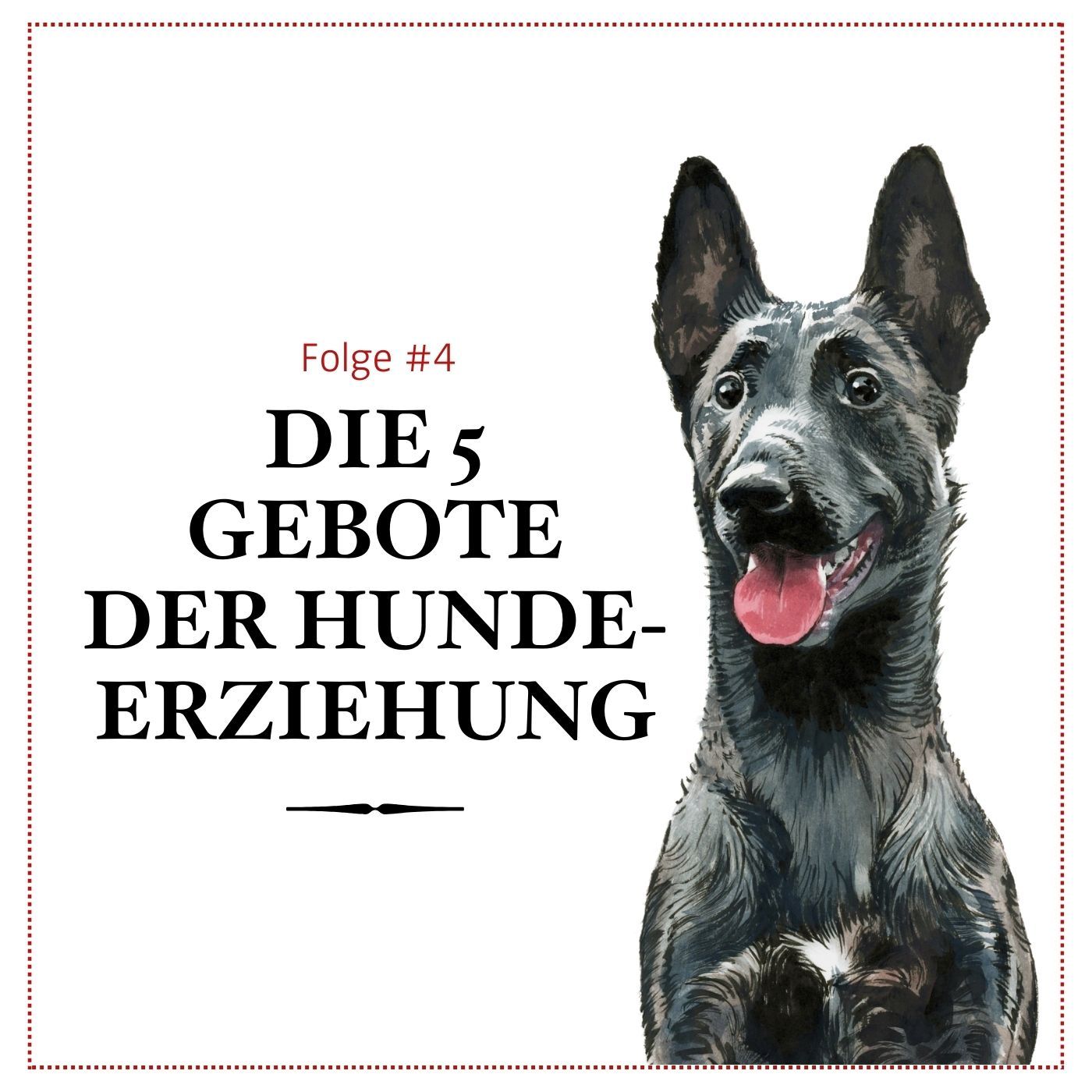Welche Kommandos es wirklich braucht – #04 episode artwork