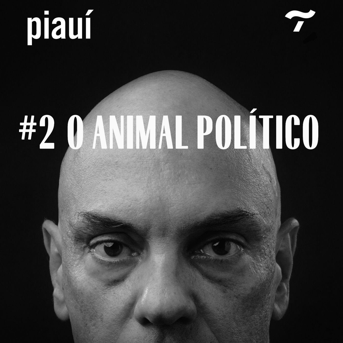 #2 O animal político