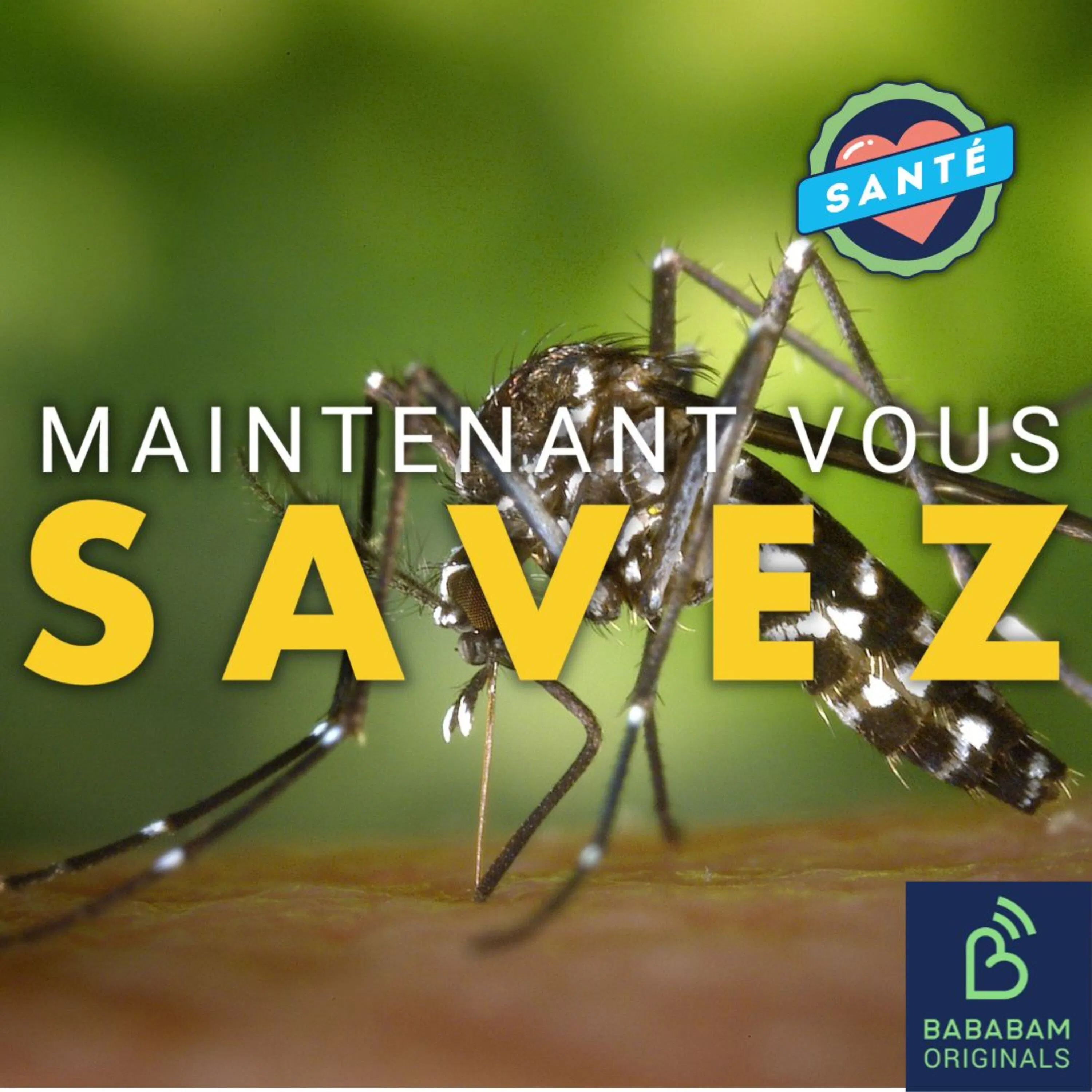 Quelles sont les 3 astuces pour vraiment se débarrasser des moustiques ?