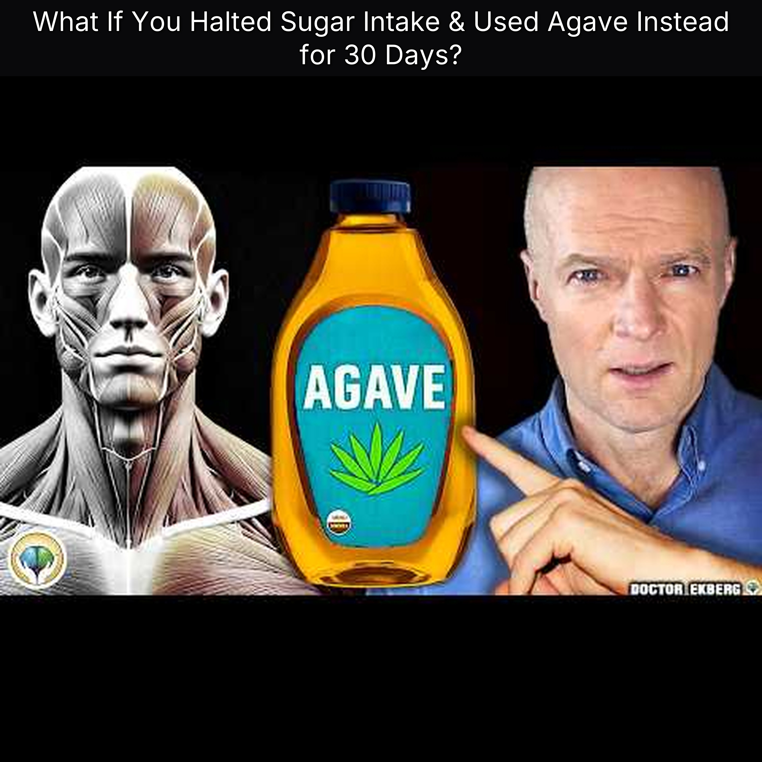 What If You Halted Sugar Intake & Used Agave Instead for 30 Days? episode artwork
