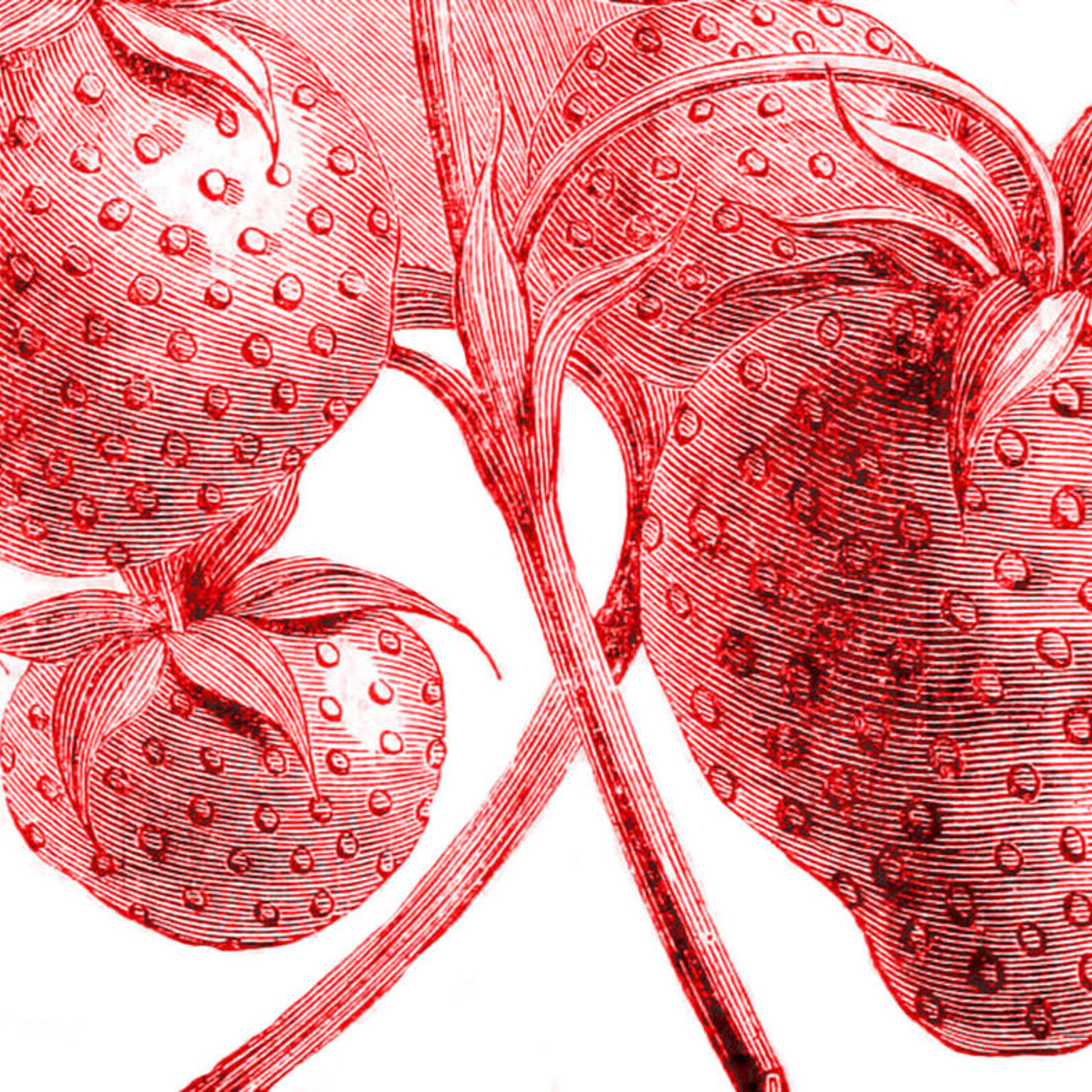 The youngest sex chromosomes on the block, and how to test a Zika vaccine without Zika cases