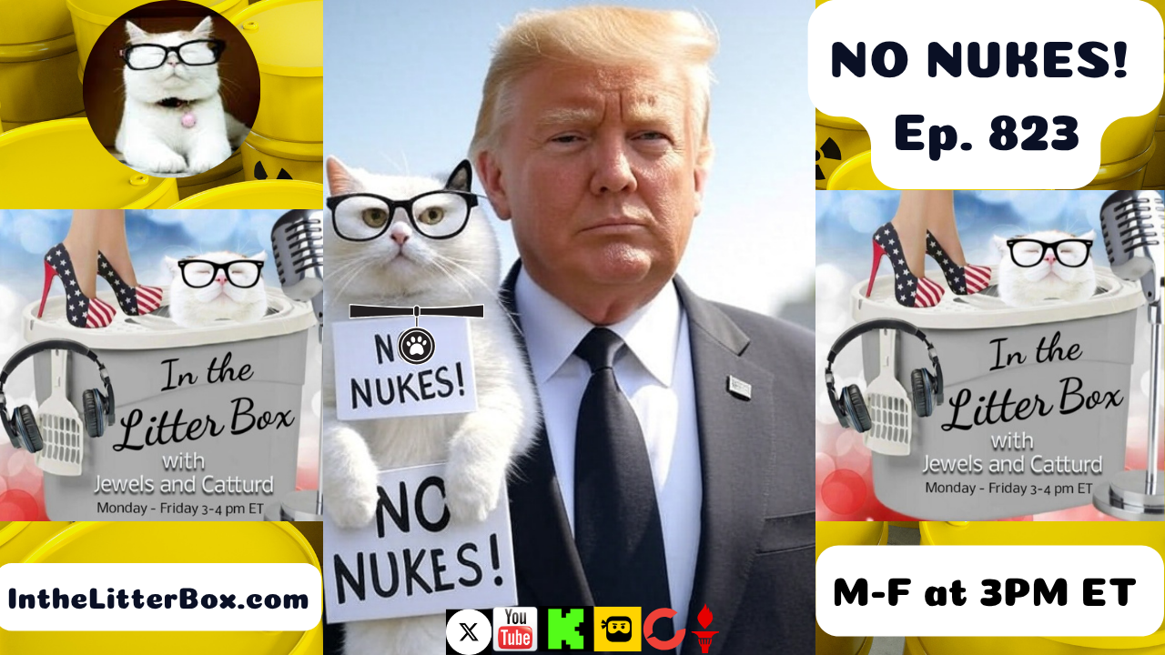 NO NUKES! | In the Litter Box w/ Jewels & Catturd – Ep. 823 – 6/17/2025