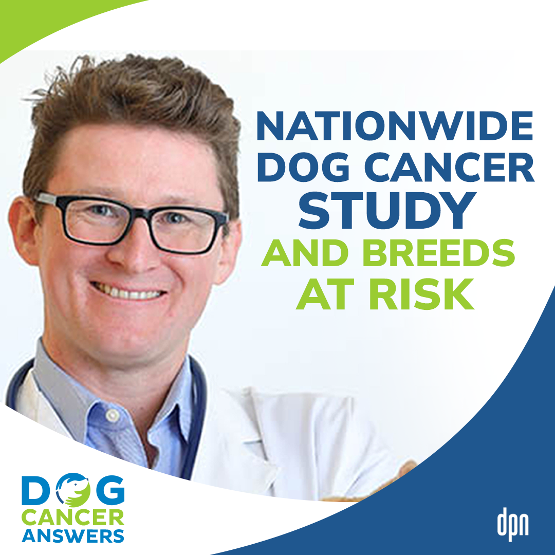 Nationwide Dog Cancer Study and Breeds at Risk | Dr. Jules Benson #175
