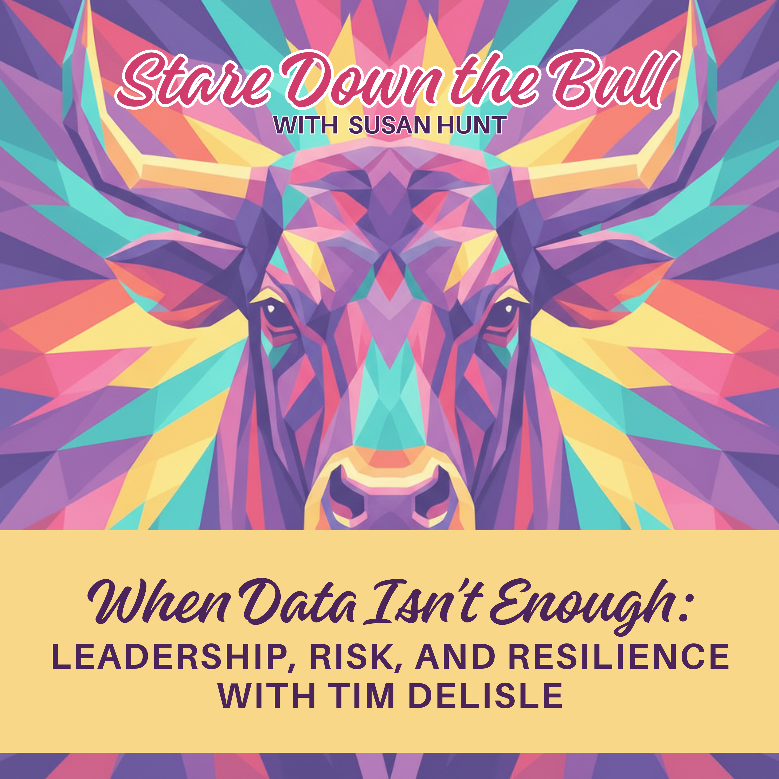 When Data Isn’t Enough: Leadership, Risk, and Resilience with Tim Delisle episode artwork