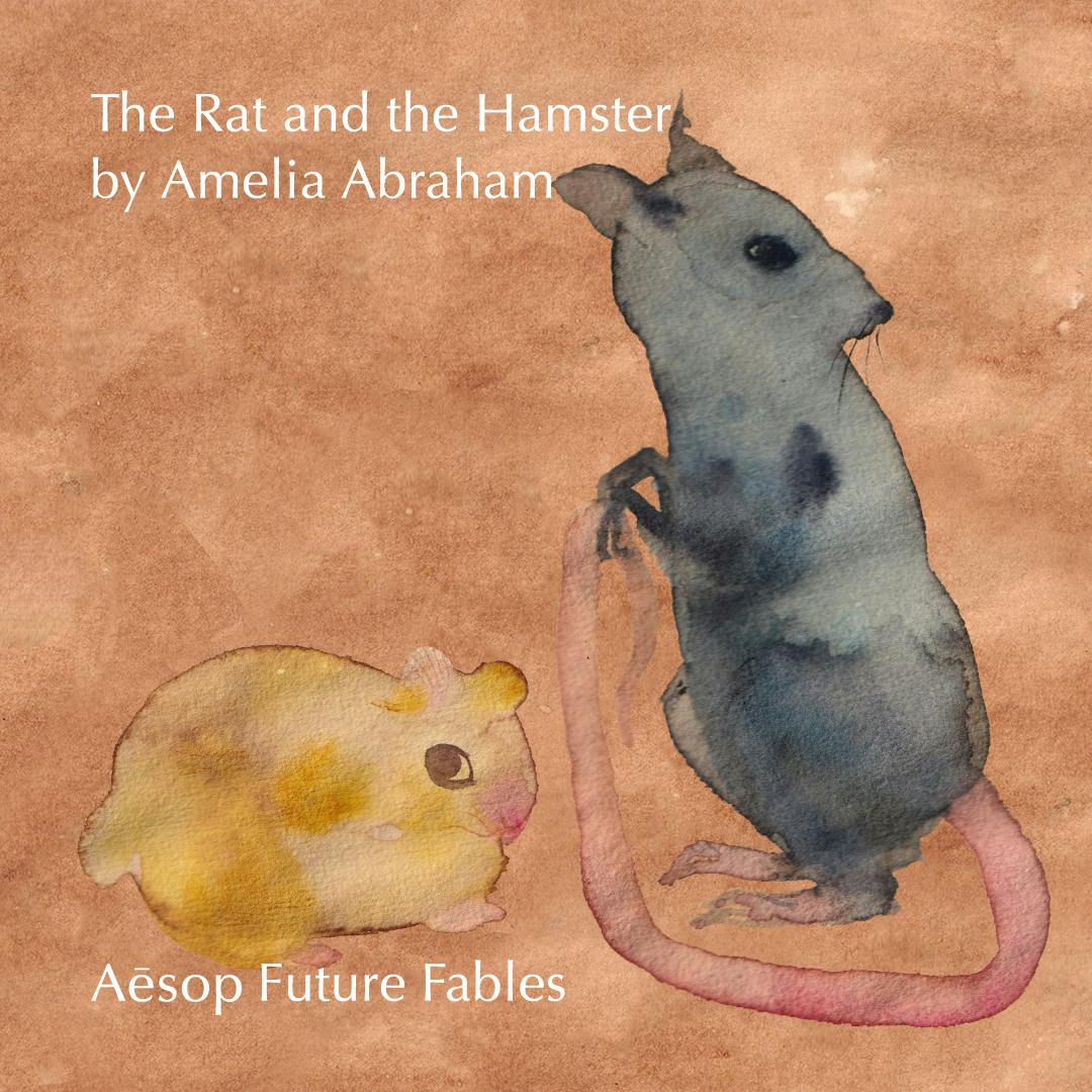 'The Rat & The Hamster' by Amelia Abraham