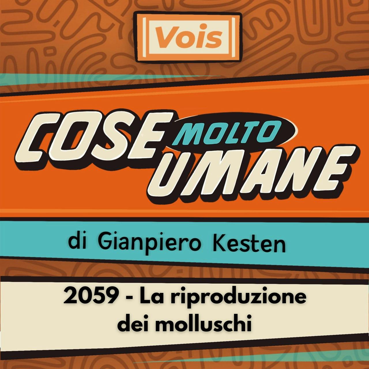 2059 - La riproduzione dei molluschi 2059 - La riproduzione dei molluschi