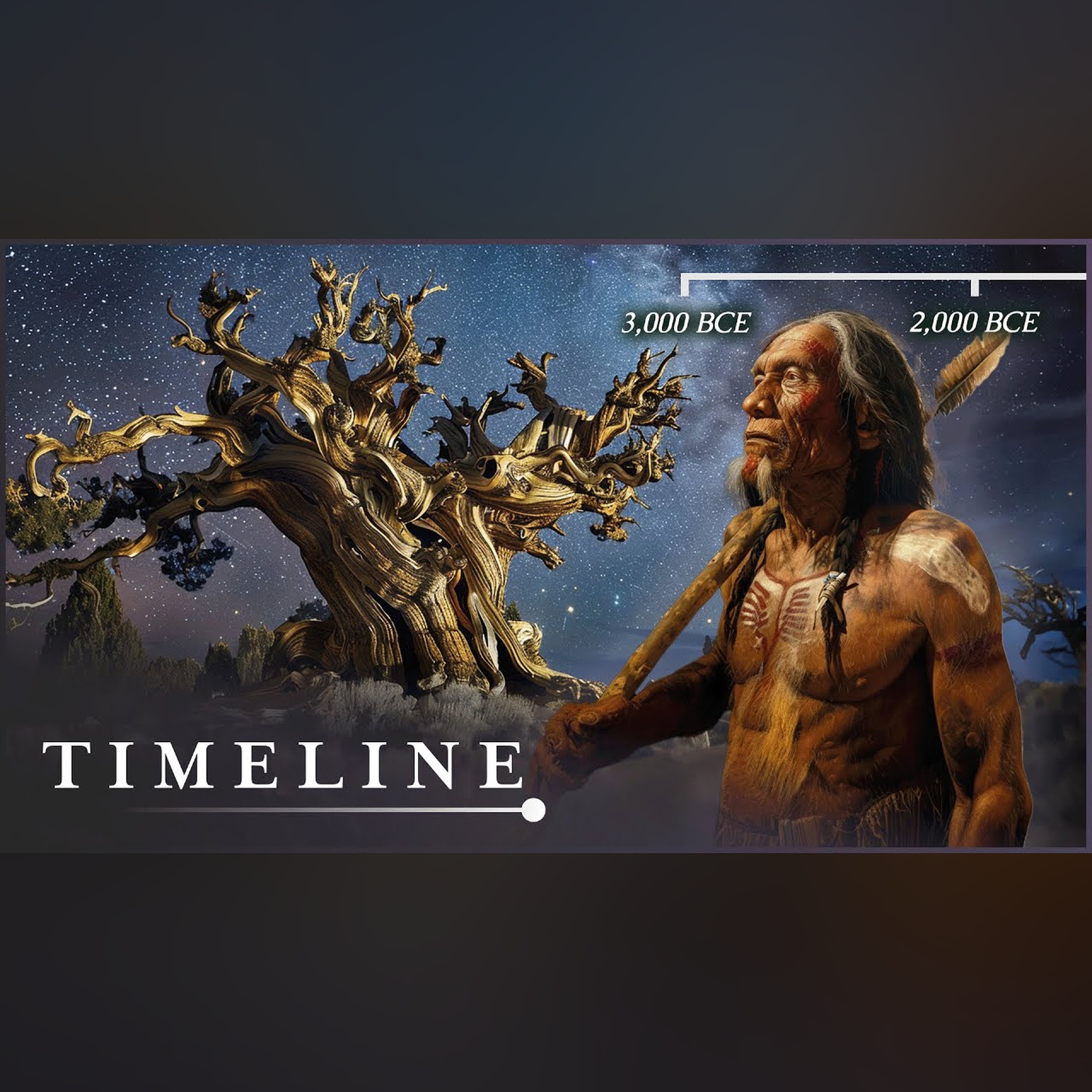 The Oldest Living Thing In The World: The Mysterious Methuselah Tree | Oldest Tree | Timeline