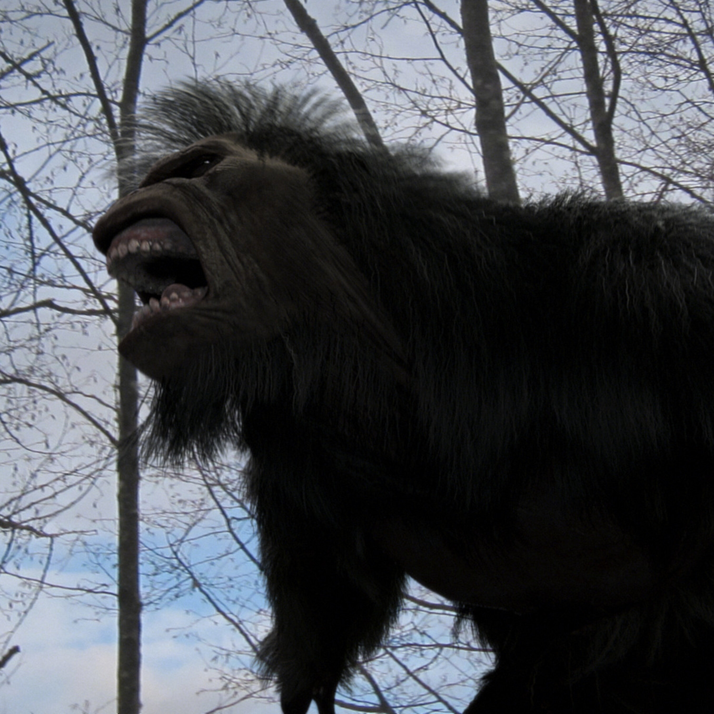 Bigfoot, Loch Monsters & Phantoms Edition