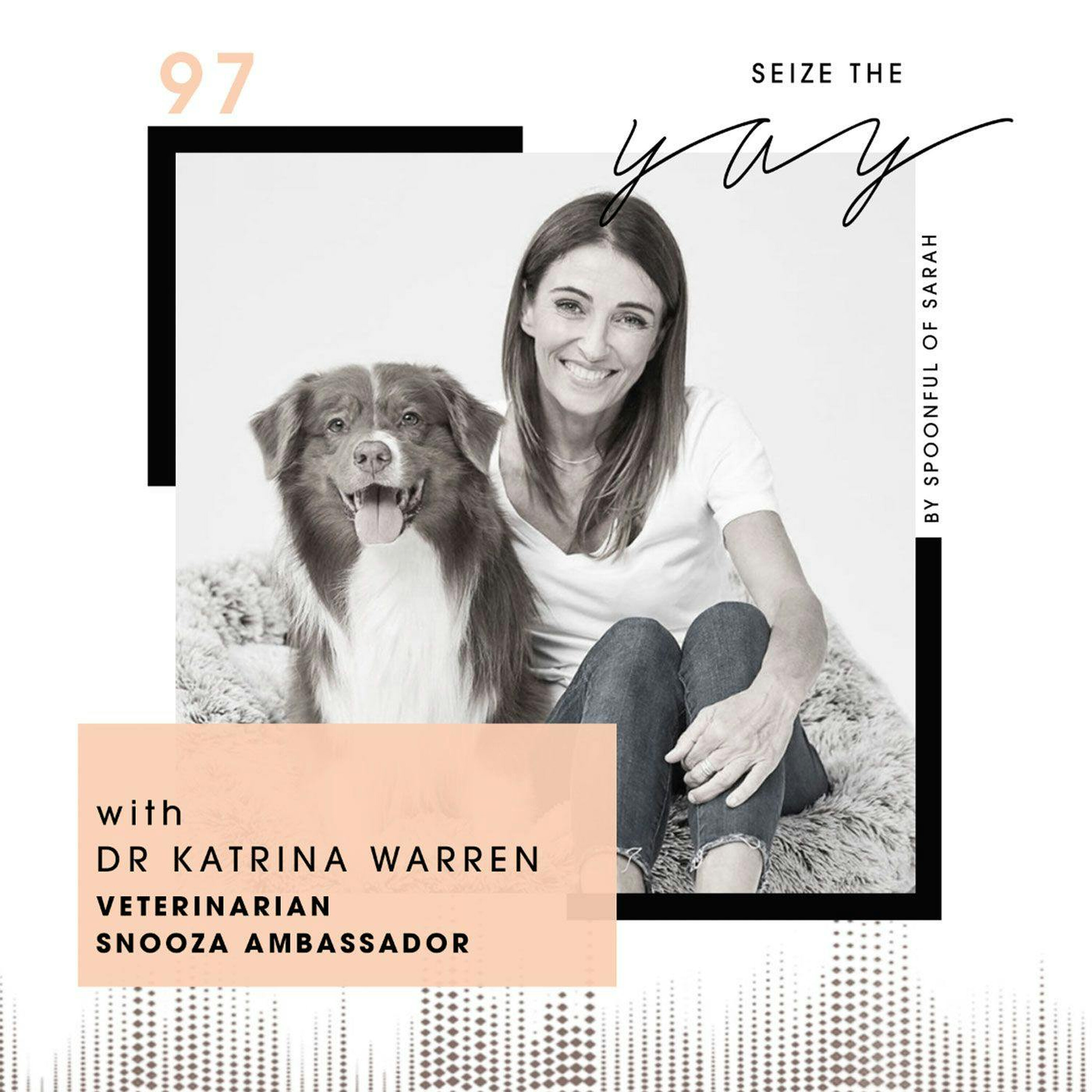 Dr Katrina Warren // Pets, professional pivots and pandemics episode artwork