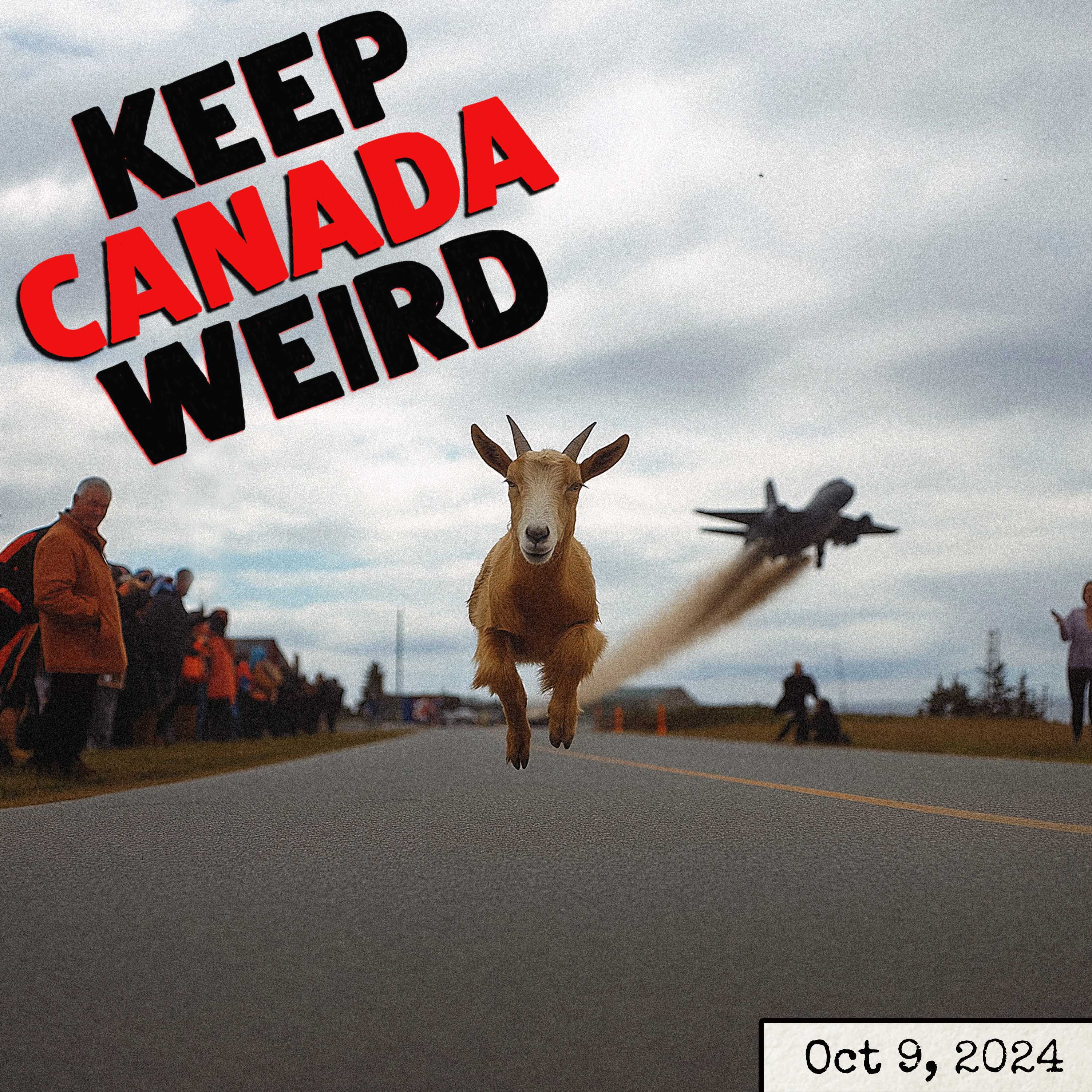 134 - Oct 9 2024 - Joshua the goat, Taylor Swift tickets for the lost dog, Chemtrails, and Robins Donuts episode artwork