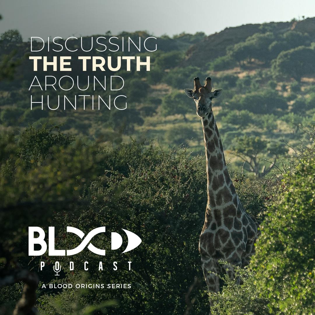 Episode 418 - Lake Pickle || South African High Fence - Ethical or No?