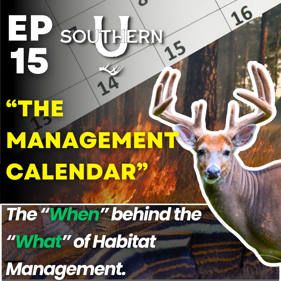 The Management Calendar