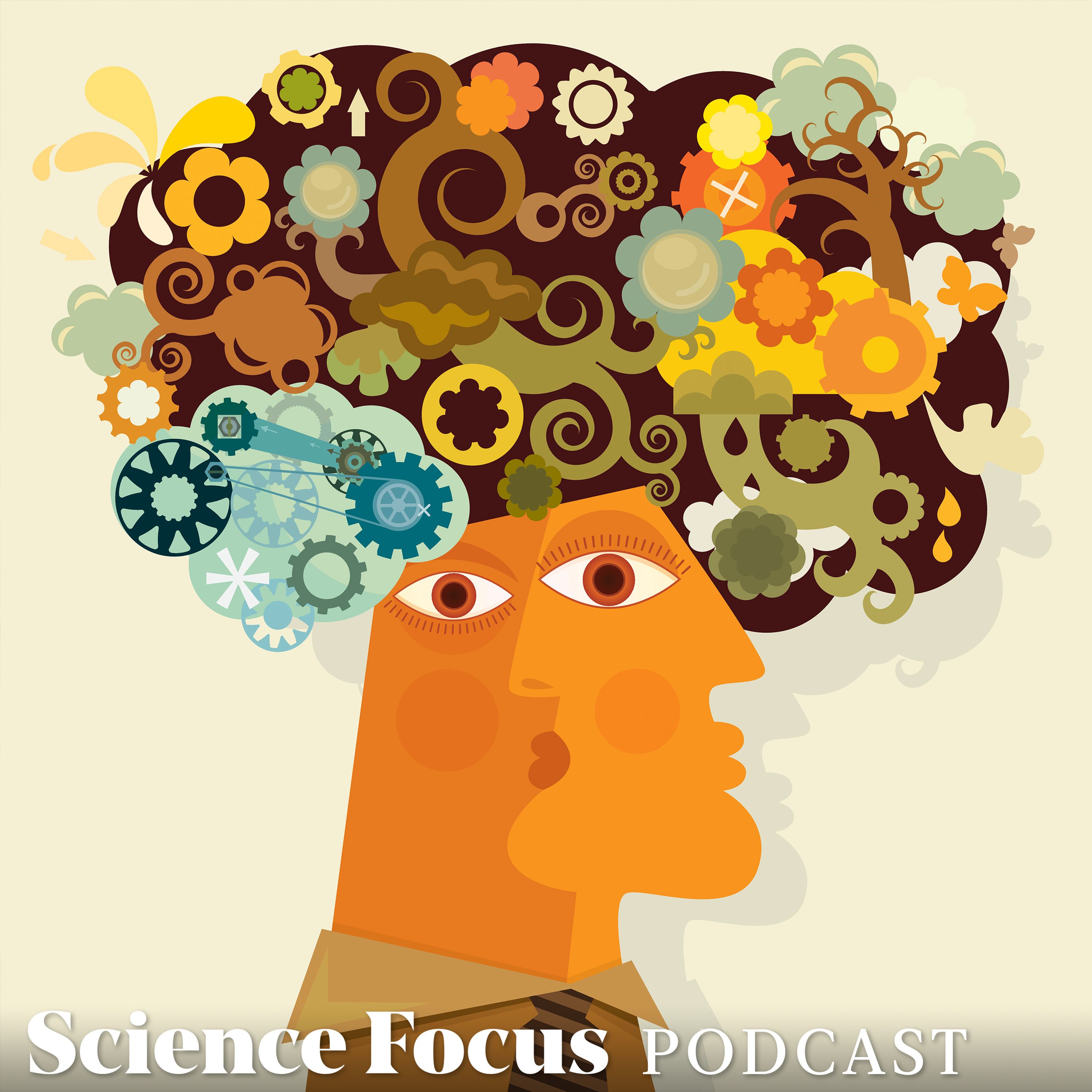 Jim Davies: How do you use your imagination?