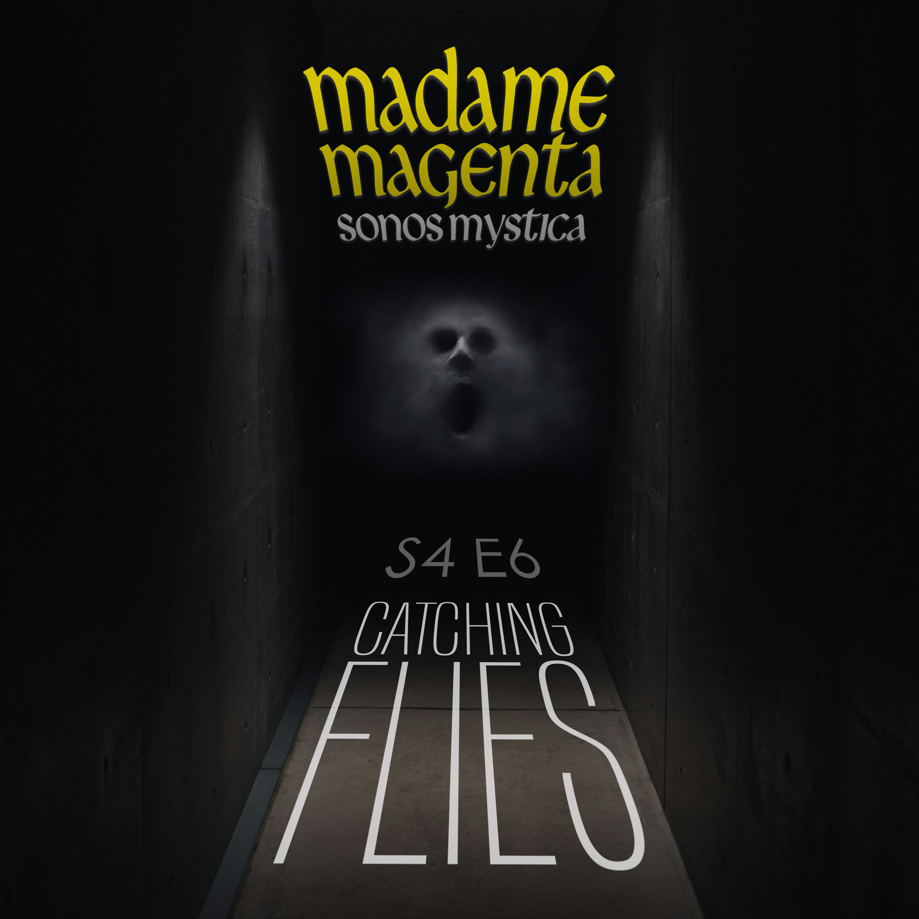 S4E6 - Catching Flies artwork